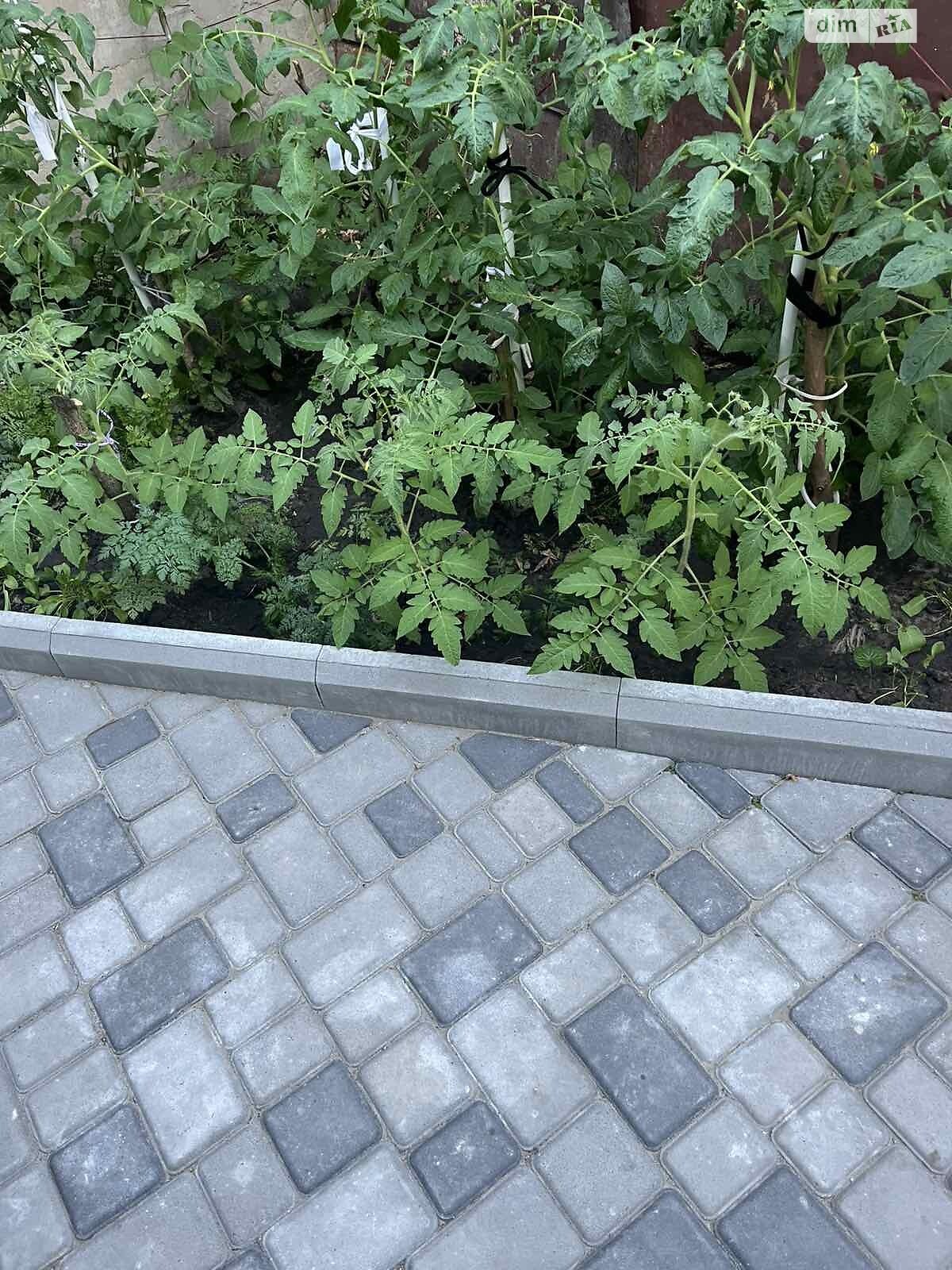 Продажа однокомнатной квартиры в Белой Церкви, на ул. Банковая, фото 1 Продажа однокомнатной квартиры в Белой Церкви, на ул. Банковая, фото 1