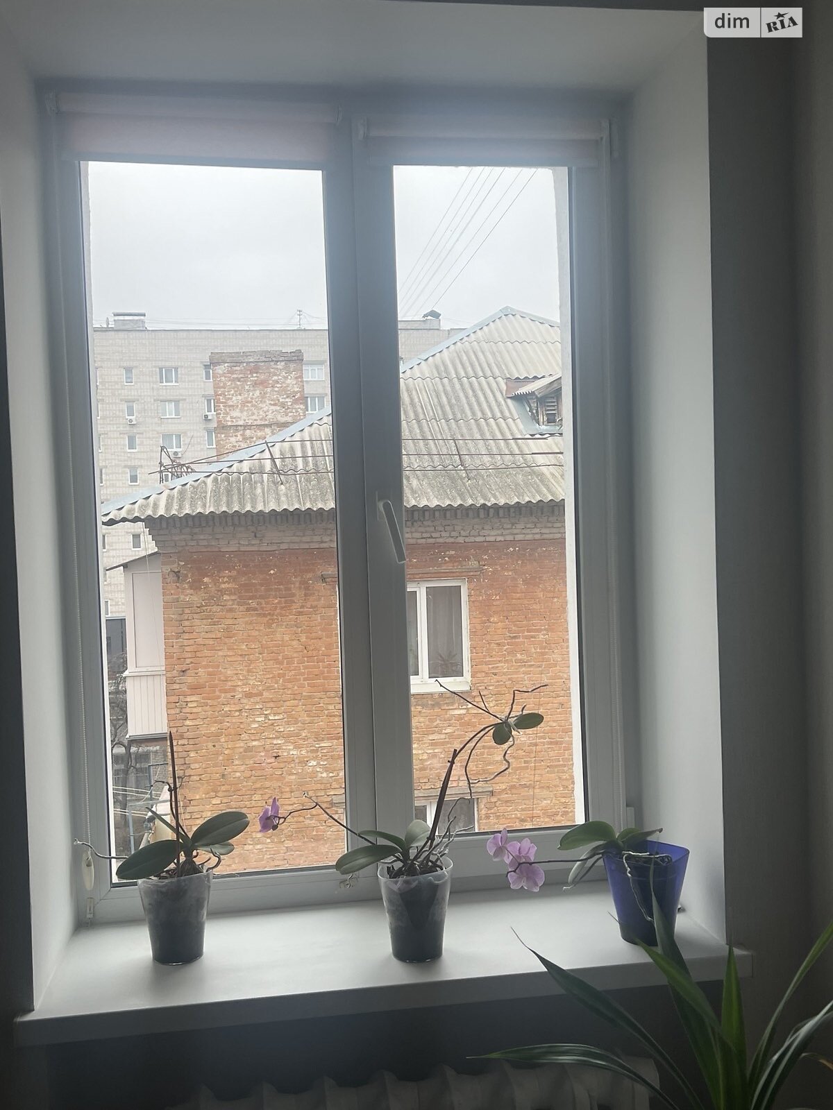 Продаж двокімнатної квартири в Білій Церкві, на бул. Олександрійський 143, район ДНС фото 1 Продаж двокімнатної квартири в Білій Церкві, на бул. Олександрійський 143, район ДНС фото 1