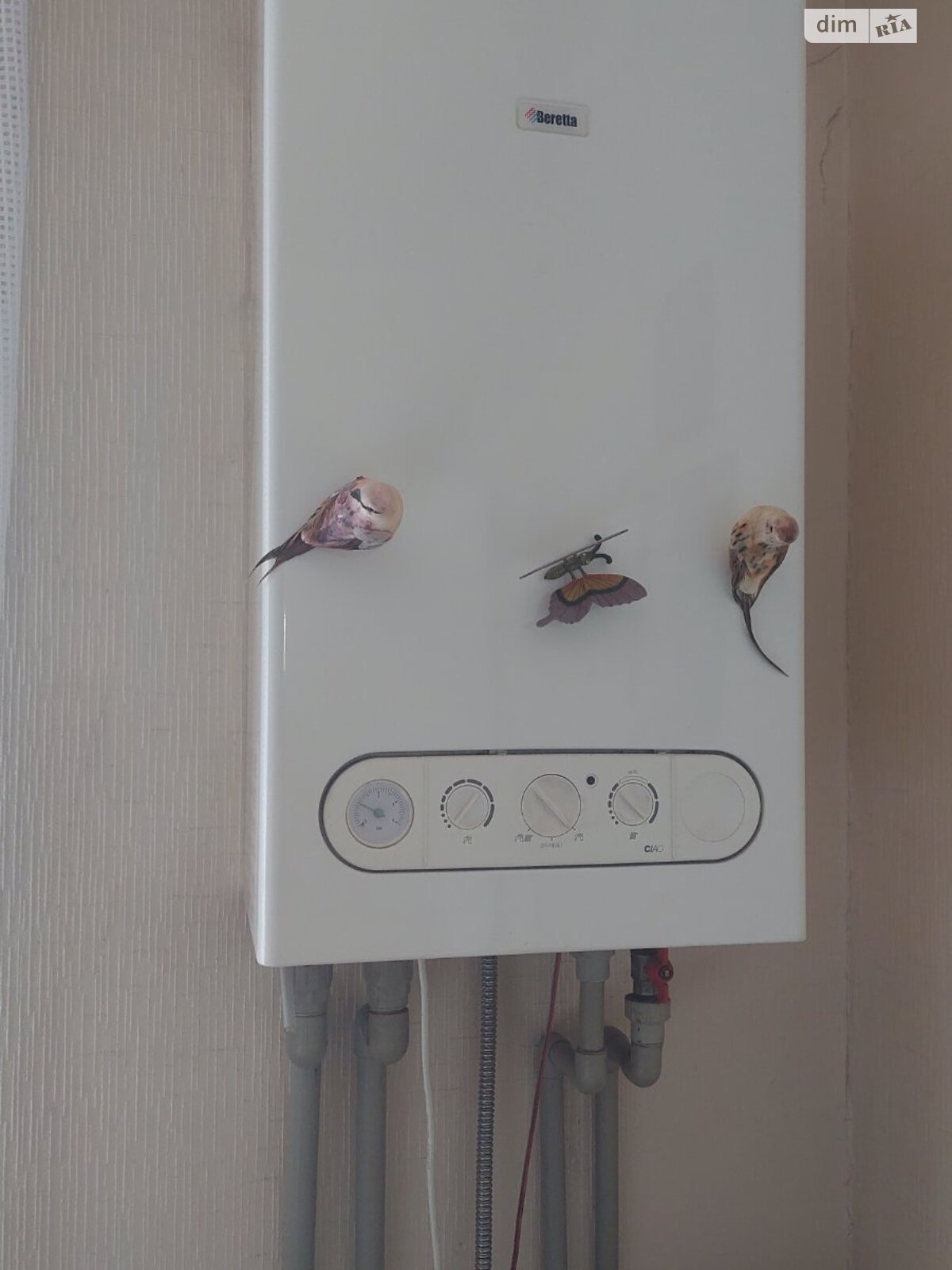 Продажа трехкомнатной квартиры в Белой Церкви, на ул. Гаек 270, фото 1 Продажа трехкомнатной квартиры в Белой Церкви, на ул. Гаек 270, фото 1