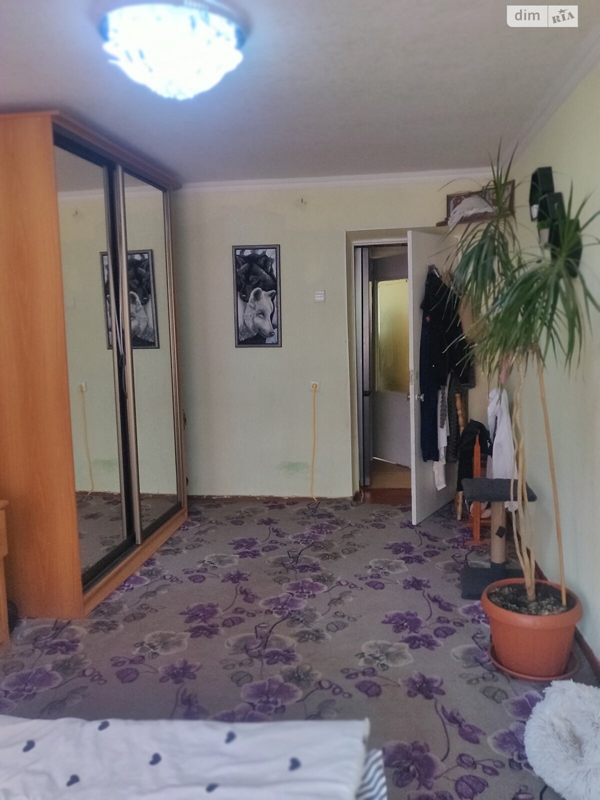 Продажа двухкомнатной квартиры в Белой Церкви, на ул. Волонтерская 13, район Пионерская фото 1 Продажа двухкомнатной квартиры в Белой Церкви, на ул. Волонтерская 13, район Пионерская фото 1