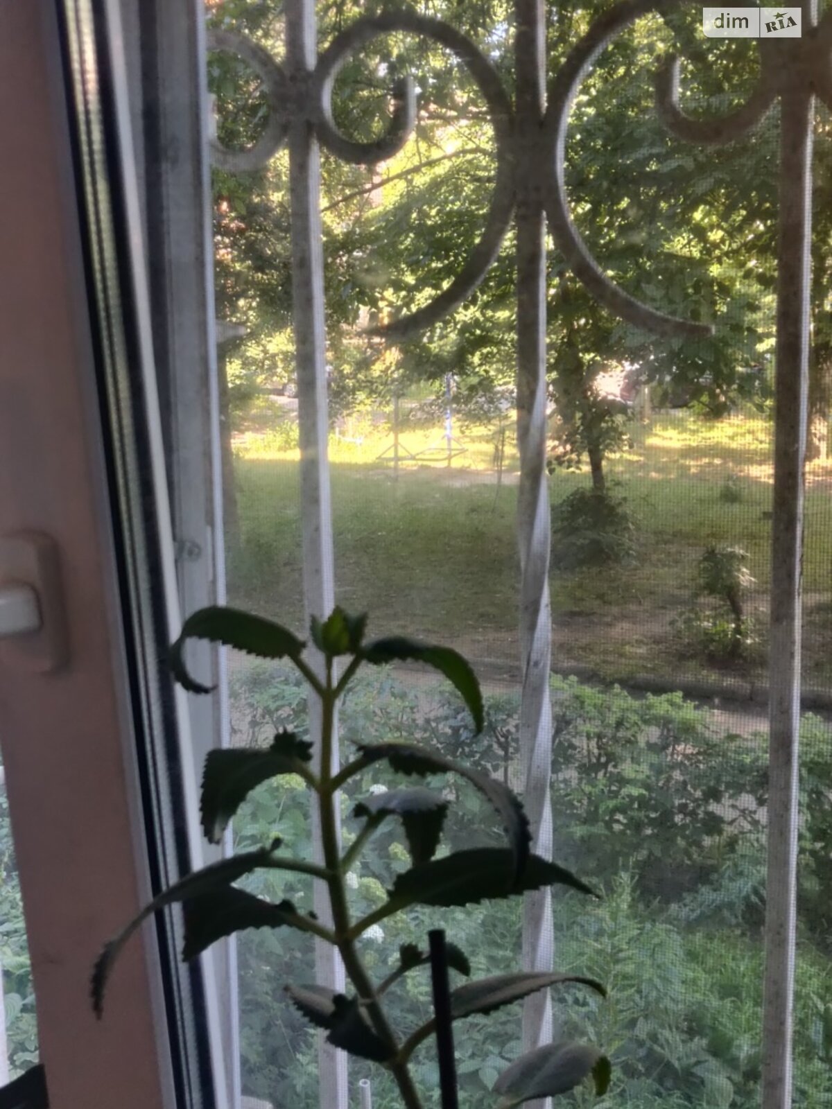 Продажа двухкомнатной квартиры в Белой Церкви, на ул. Волонтерская 13, район Пионерская фото 1 Продажа двухкомнатной квартиры в Белой Церкви, на ул. Волонтерская 13, район Пионерская фото 1