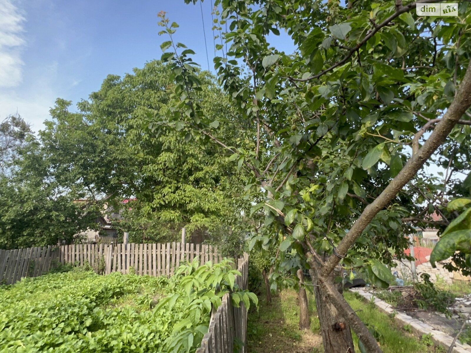 Продажа трехкомнатной квартиры в Богдановке, на ул. Хоменка 36, кв. 1, фото 1 Продажа трехкомнатной квартиры в Богдановке, на ул. Хоменка 36, кв. 1, фото 1