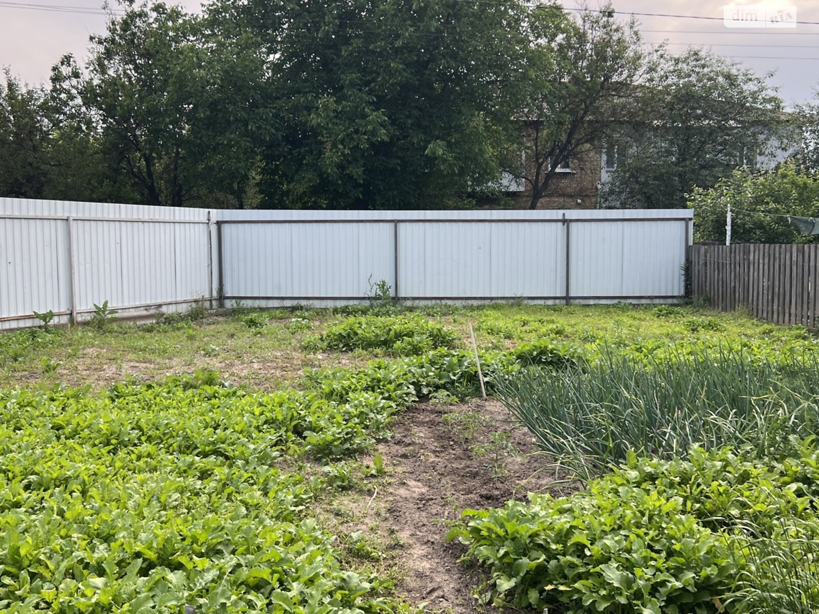 Продажа трехкомнатной квартиры в Богдановке, на ул. Хоменка 36, кв. 1, фото 1 Продажа трехкомнатной квартиры в Богдановке, на ул. Хоменка 36, кв. 1, фото 1