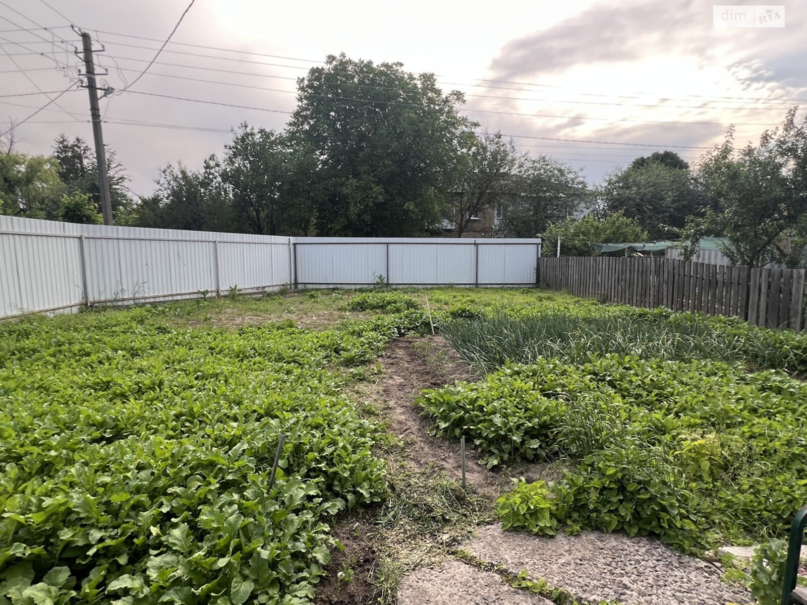 Продажа трехкомнатной квартиры в Богдановке, на ул. Хоменка 36, кв. 1, фото 1 Продажа трехкомнатной квартиры в Богдановке, на ул. Хоменка 36, кв. 1, фото 1