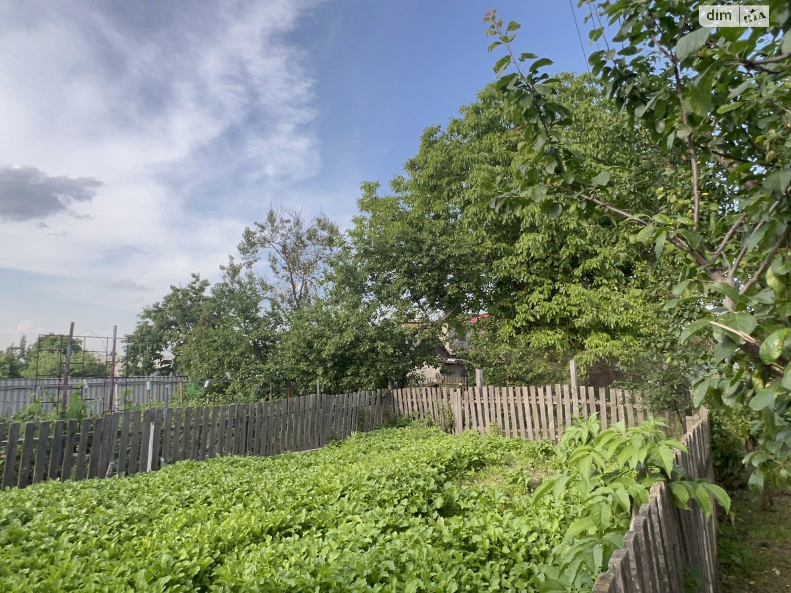 Продажа трехкомнатной квартиры в Богдановке, на ул. Хоменка 36, кв. 1, фото 1 Продажа трехкомнатной квартиры в Богдановке, на ул. Хоменка 36, кв. 1, фото 1