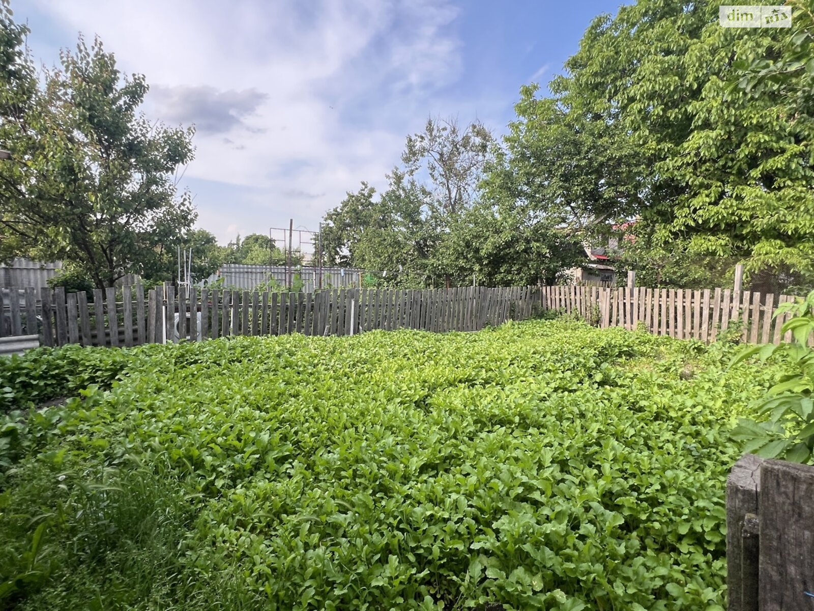 Продажа трехкомнатной квартиры в Богдановке, на ул. Хоменка 36, кв. 1, фото 1 Продажа трехкомнатной квартиры в Богдановке, на ул. Хоменка 36, кв. 1, фото 1