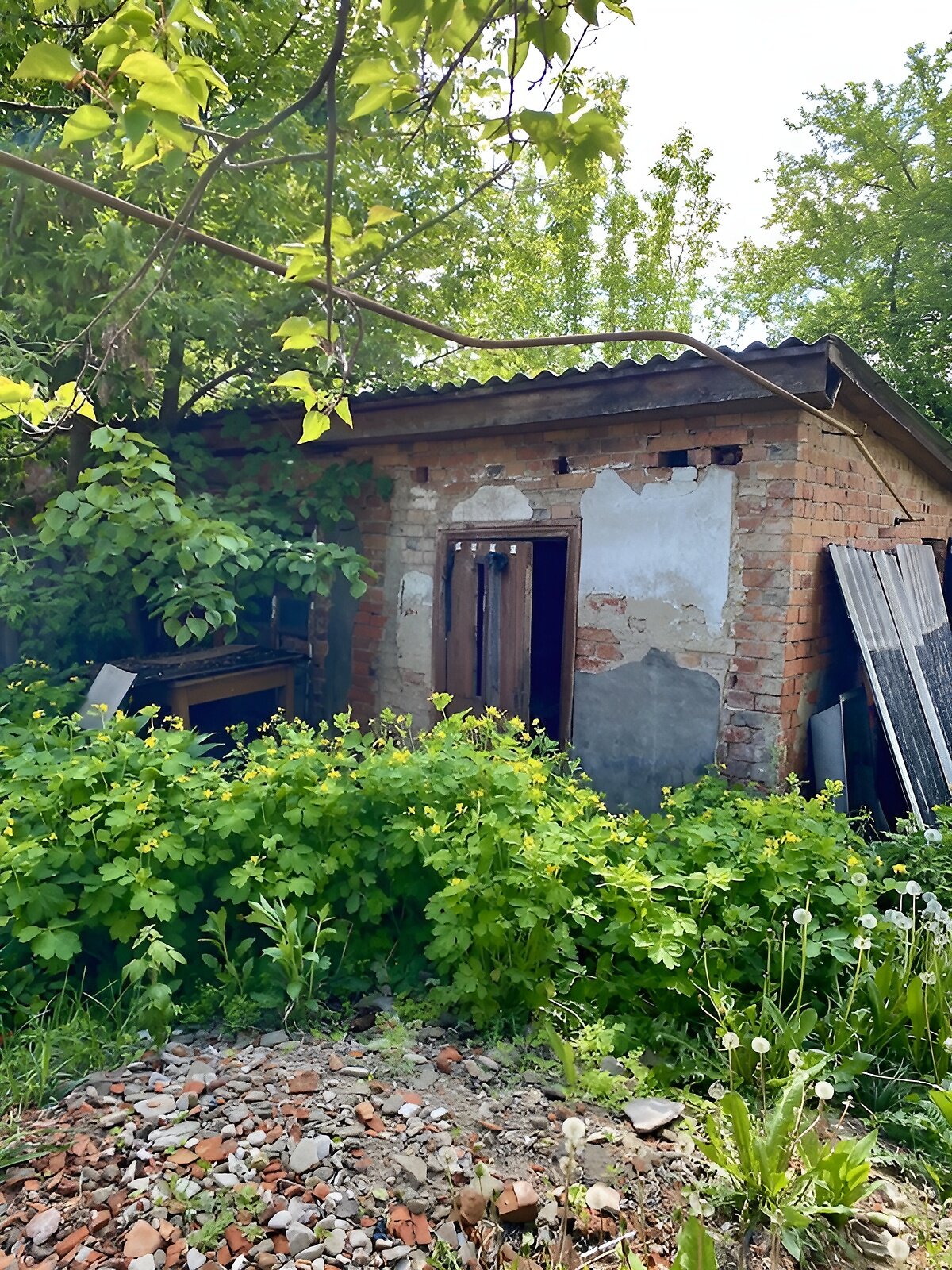 Продаж трикімнатної квартири в Богодухові, на вул. Шевченка 81, район Богодухів фото 1 Продаж трикімнатної квартири в Богодухові, на вул. Шевченка 81, район Богодухів фото 1