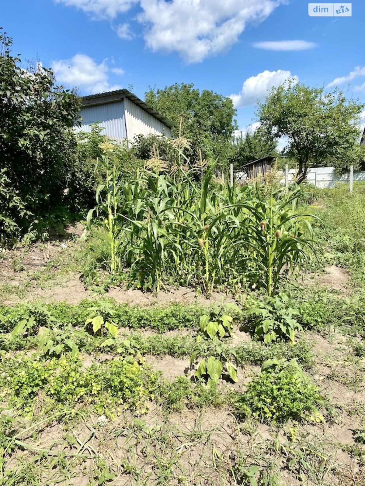 Продаж однокімнатної квартири в Богодухові, на Моргунова 27, район Богодухів фото 1 Продаж однокімнатної квартири в Богодухові, на Моргунова 27, район Богодухів фото 1