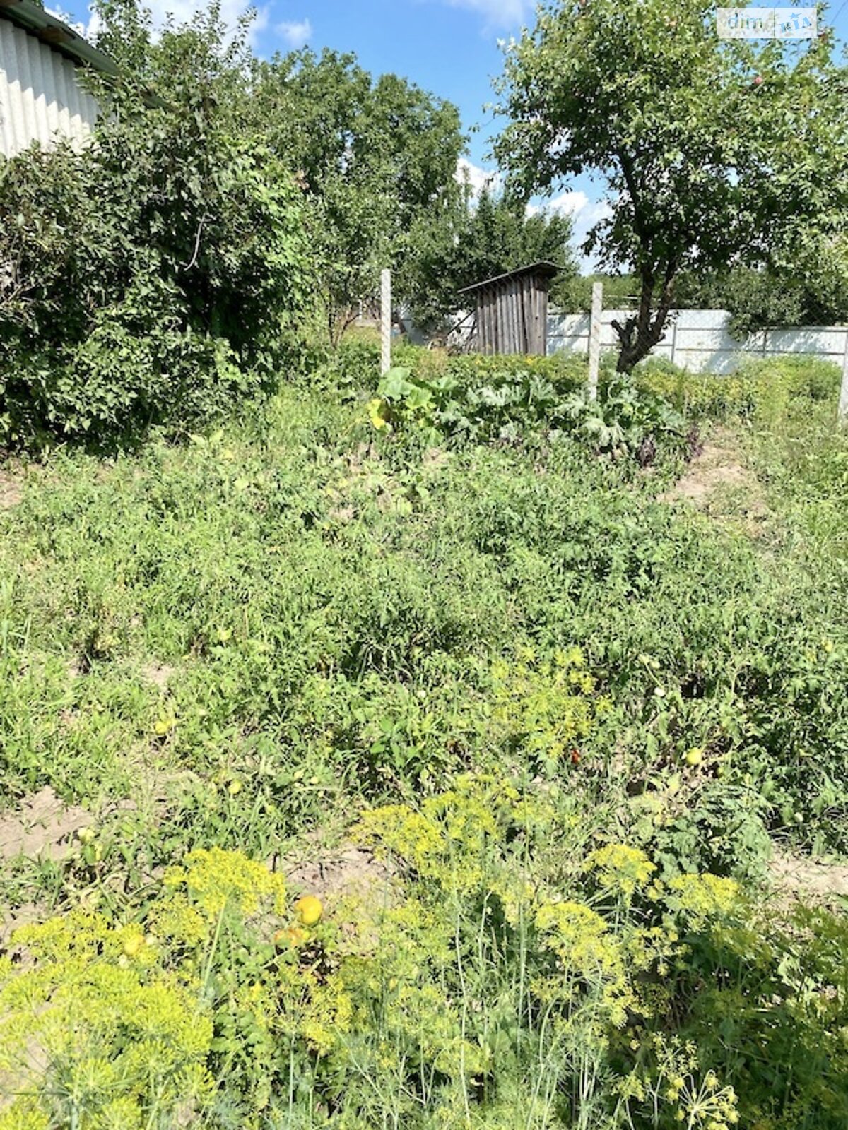 Продаж однокімнатної квартири в Богодухові, на Моргунова 27, район Богодухів фото 1 Продаж однокімнатної квартири в Богодухові, на Моргунова 27, район Богодухів фото 1