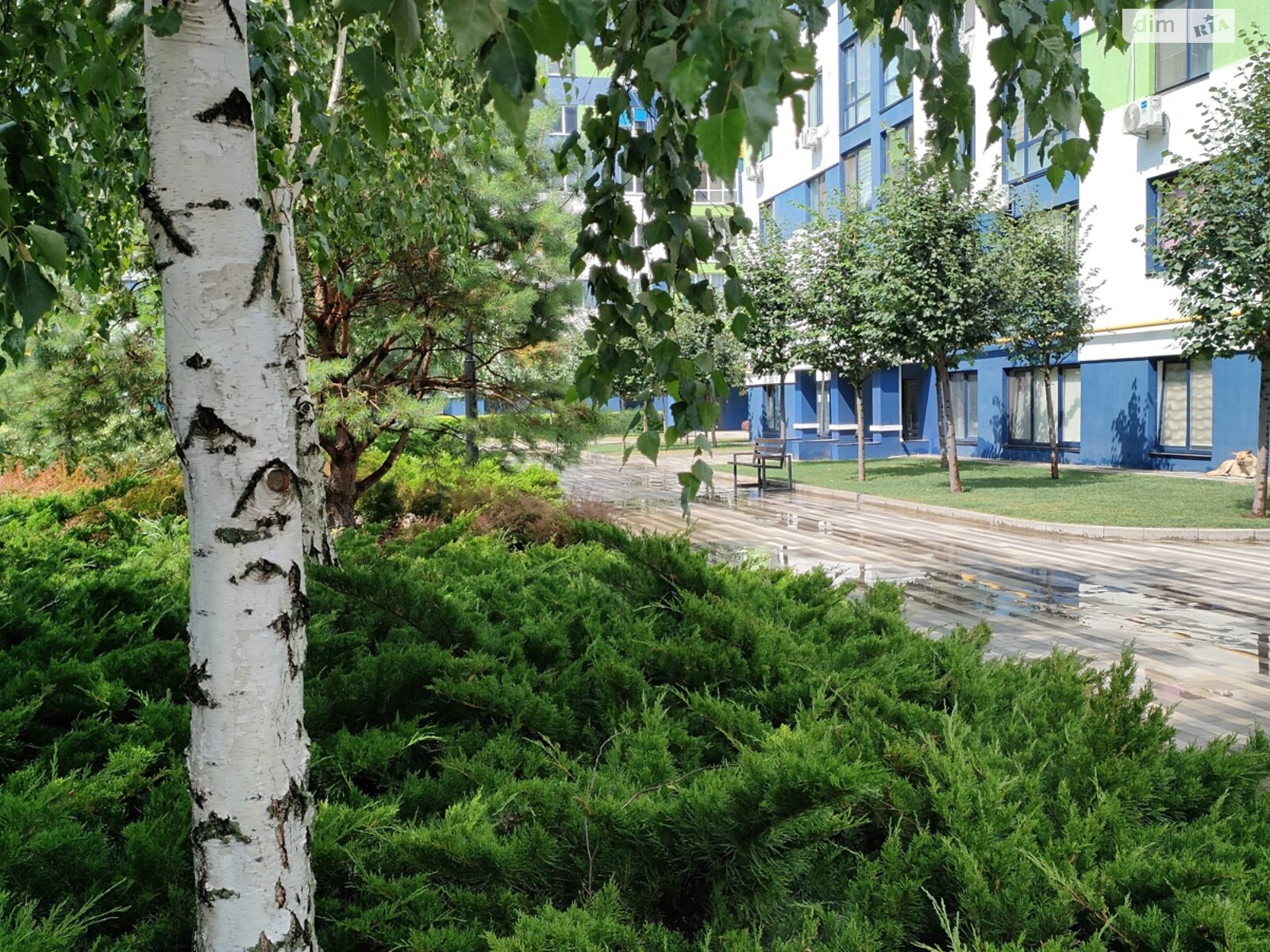 Продаж двокімнатної квартири в Бучі, на вул. Вишнева, район Буча фото 1 Продаж двокімнатної квартири в Бучі, на вул. Вишнева, район Буча фото 1