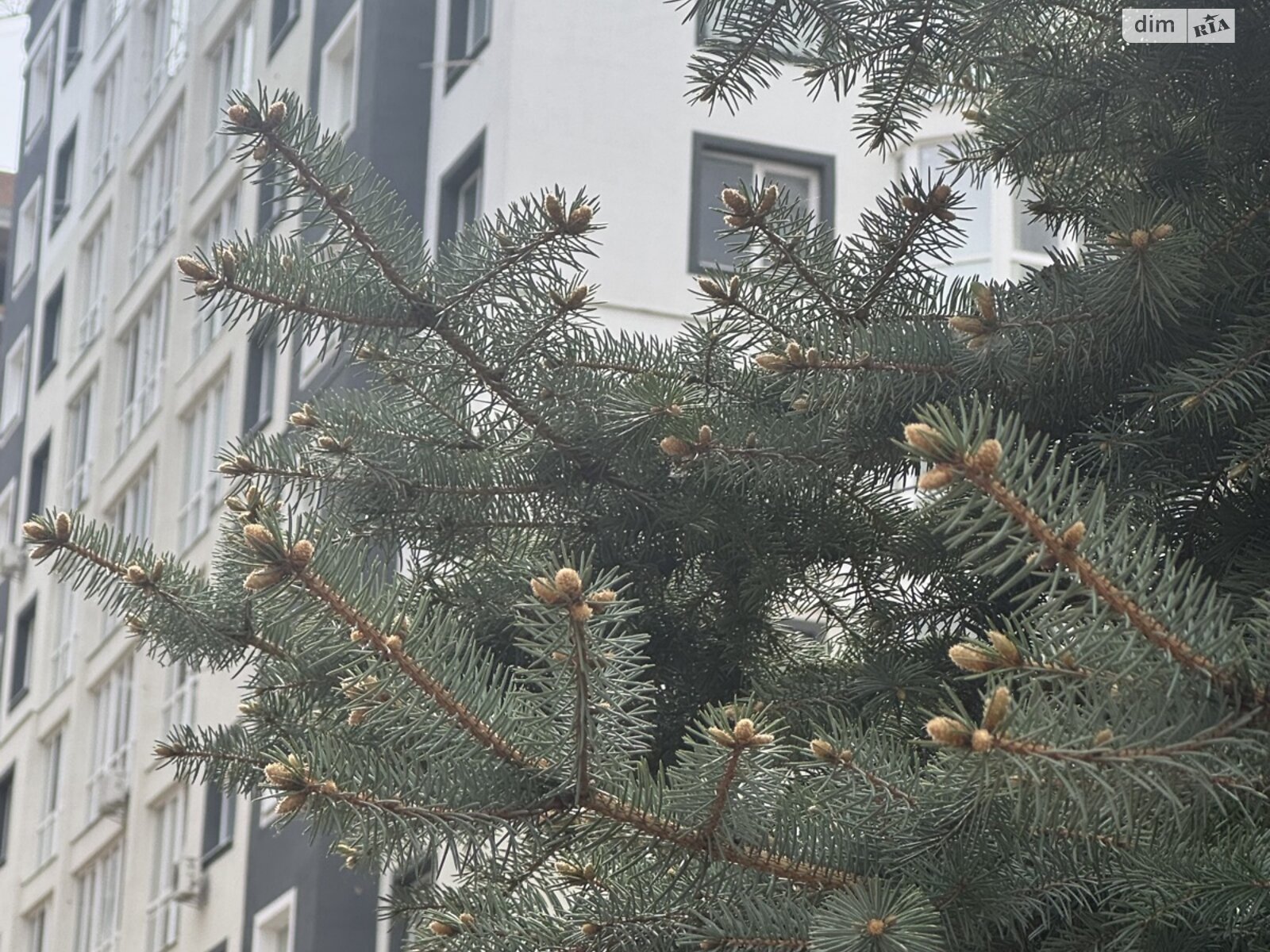 Продажа трехкомнатной квартиры в Буче, на пер. Тихого 4/4, фото 1 Продажа трехкомнатной квартиры в Буче, на пер. Тихого 4/4, фото 1