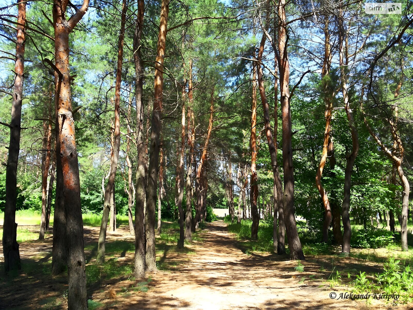 Продаж двокімнатної квартири в Черкаському, на вул. Лісна 5, фото 1 Продаж двокімнатної квартири в Черкаському, на вул. Лісна 5, фото 1