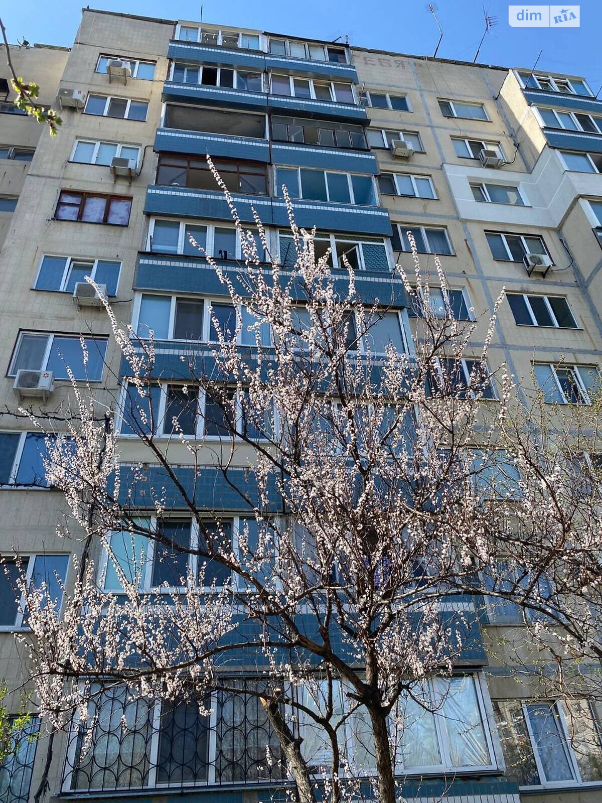 Продажа однокомнатной квартиры в Черкассах, на ул. Пилипенко Капитана 10, район Сосновский фото 1