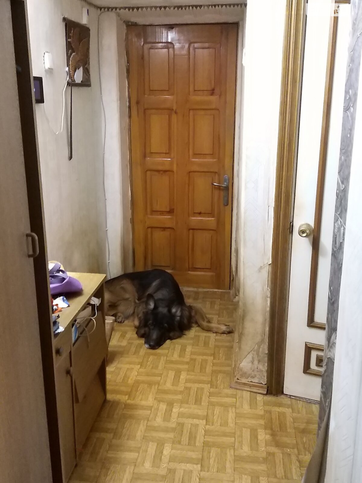 Продажа трехкомнатной квартиры в Чернигове, на ул. Спасателей 6, район Деснянский фото 1 Продажа трехкомнатной квартиры в Чернигове, на ул. Спасателей 6, район Деснянский фото 1