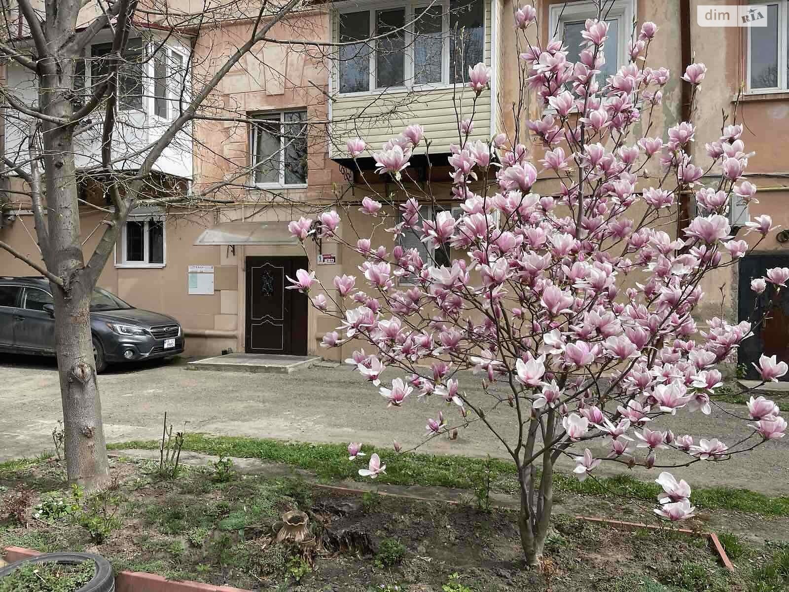 Продажа трехкомнатной квартиры в Черновцах, на ул. Главная, район Главный фото 1