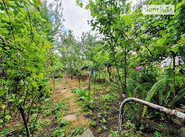 Продажа трехкомнатной квартиры в Черновцах, на ул. Буковинская район Парковая зона фото 1 Продажа трехкомнатной квартиры в Черновцах, на ул. Буковинская район Парковая зона фото 1