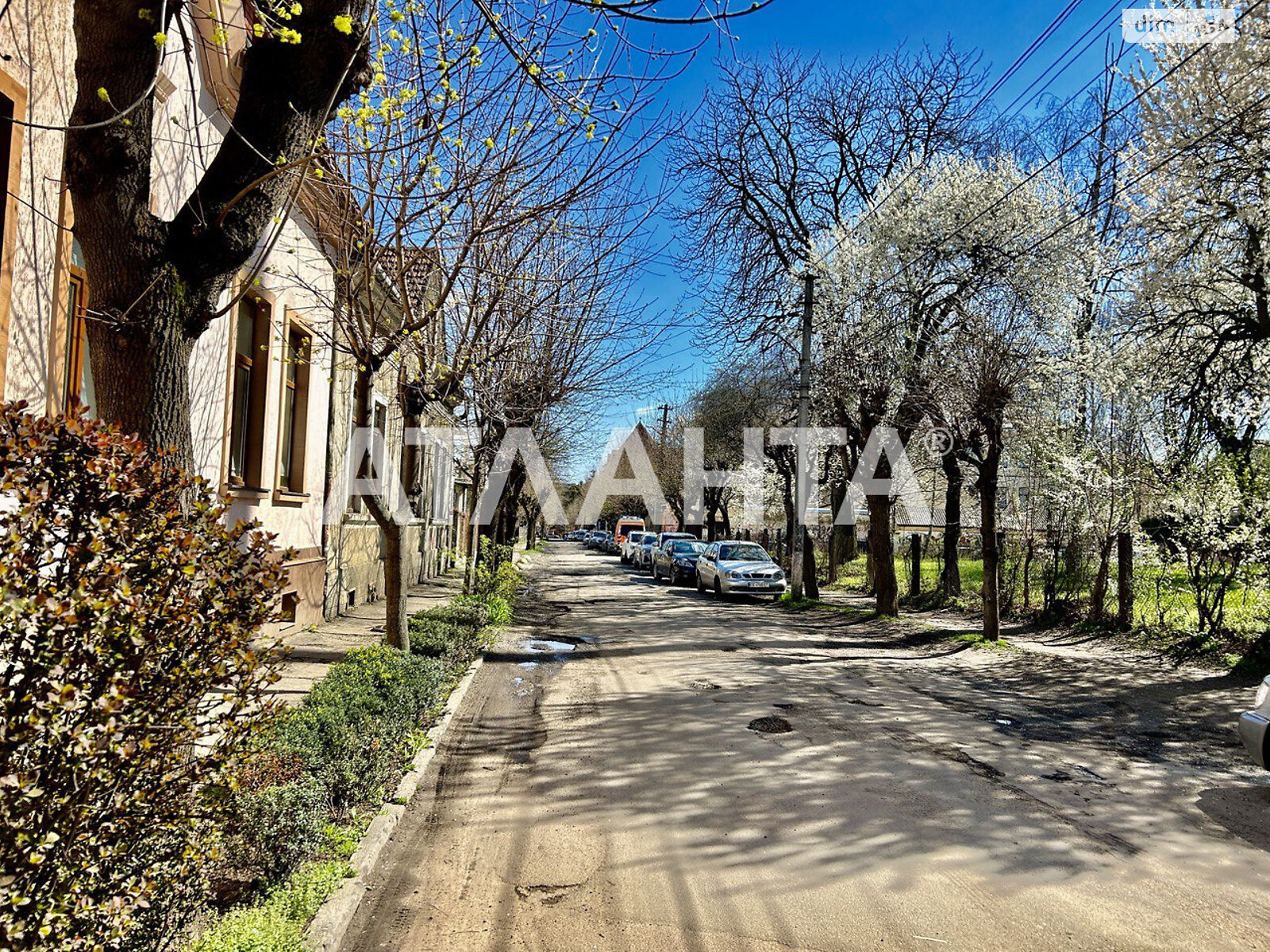 Продажа однокомнатной квартиры в Черновцах, на ул. Гончара Олеся, район Шевченковский фото 1 Продажа однокомнатной квартиры в Черновцах, на ул. Гончара Олеся, район Шевченковский фото 1