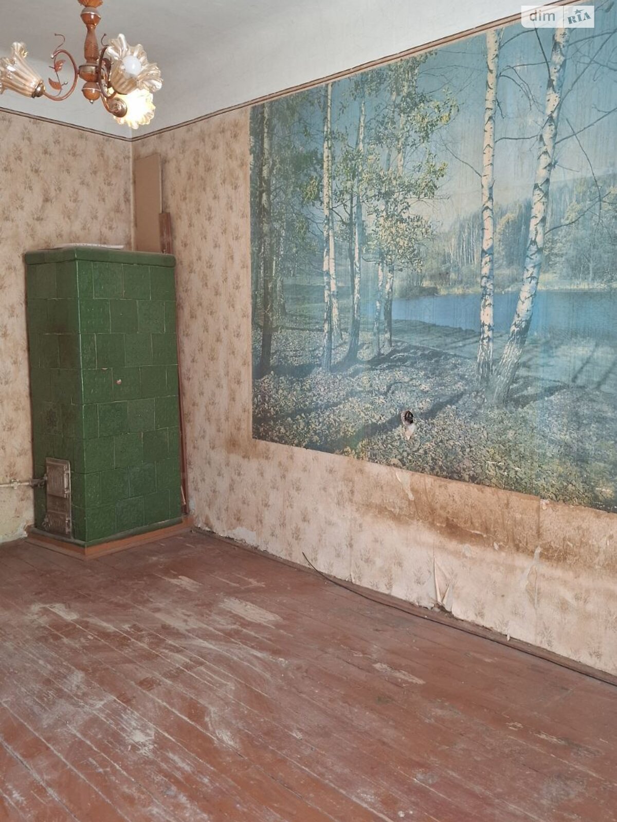Продажа однокомнатной квартиры в Черновцах, на ул. Кобылицы Лукьяна, район Центр фото 1 Продажа однокомнатной квартиры в Черновцах, на ул. Кобылицы Лукьяна, район Центр фото 1