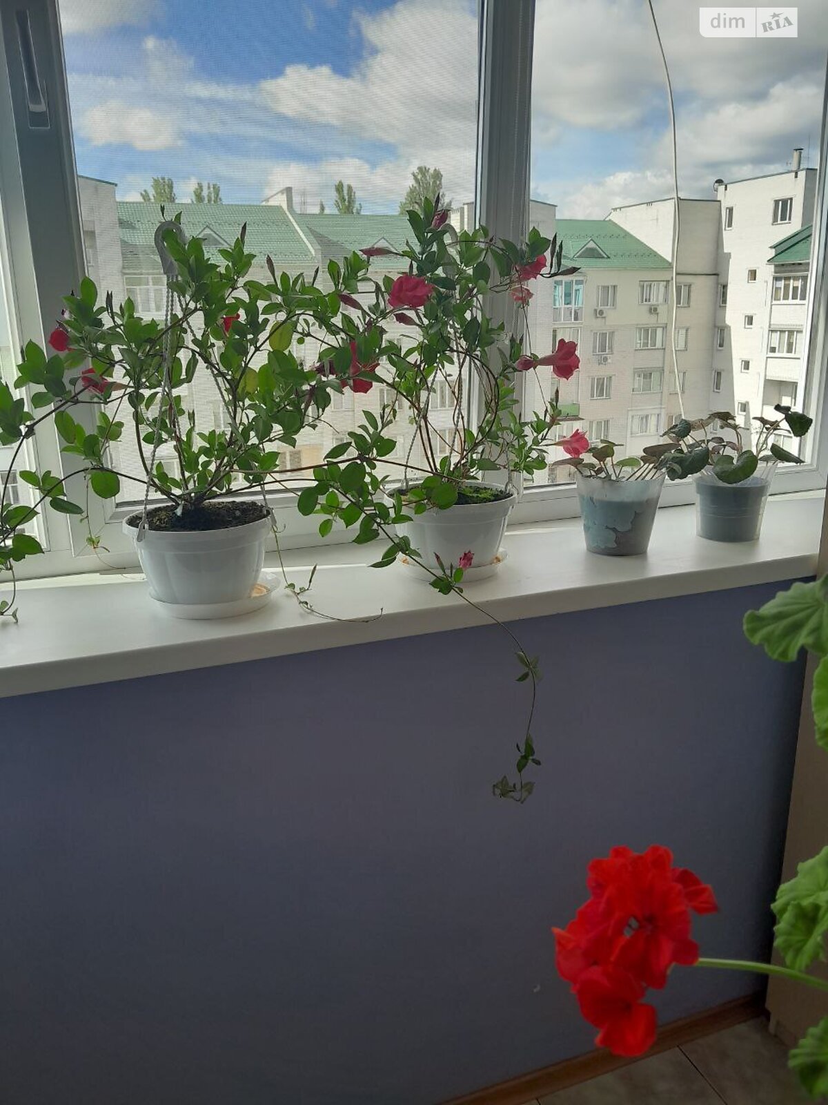 Продажа двухкомнатной квартиры в Чубинском, на ул. Погребняка 13, фото 1 Продажа двухкомнатной квартиры в Чубинском, на ул. Погребняка 13, фото 1