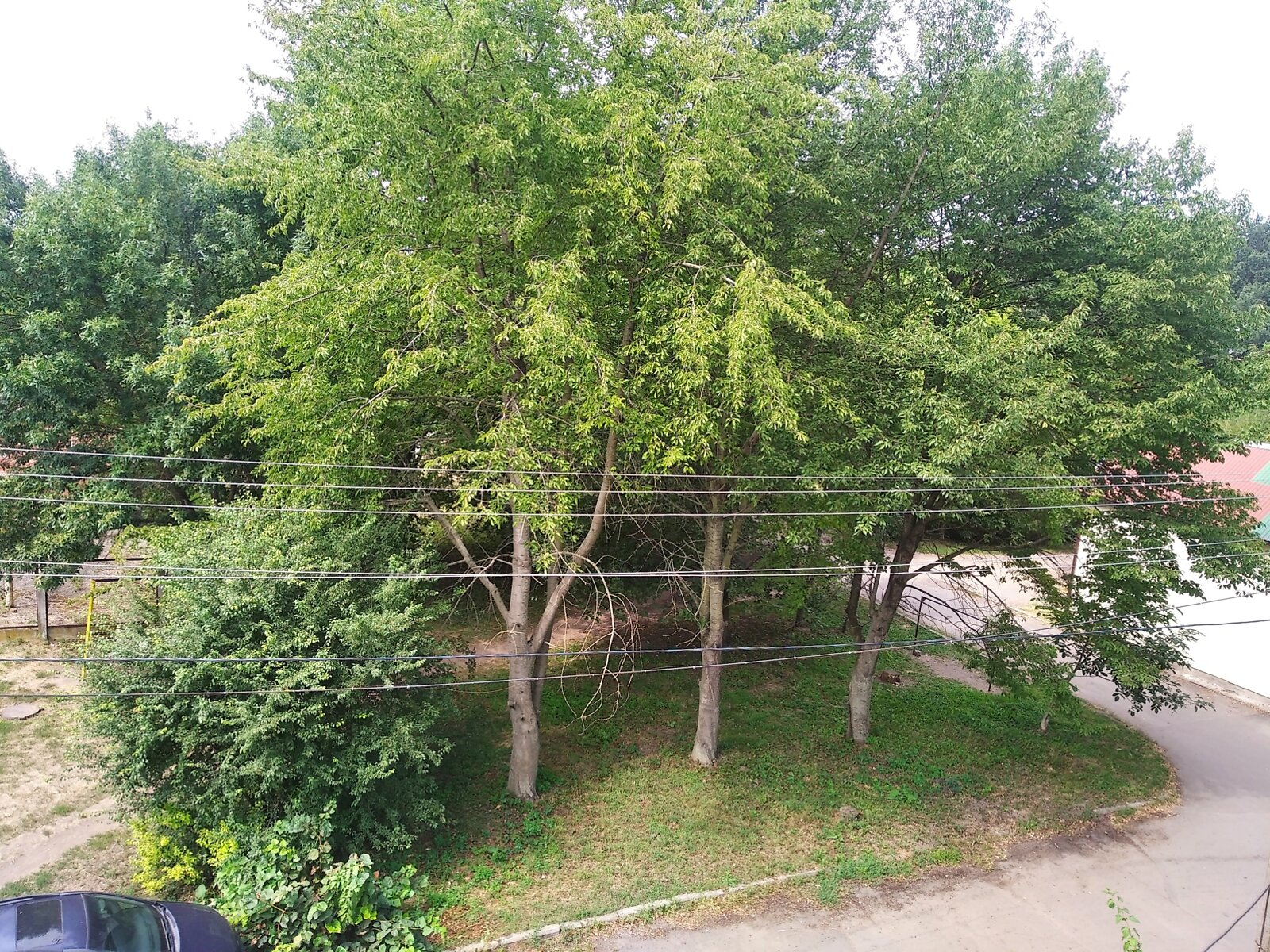 Продаж двокімнатної квартири в Десні, на вул. Лесі Українки, фото 1 Продаж двокімнатної квартири в Десні, на вул. Лесі Українки, фото 1