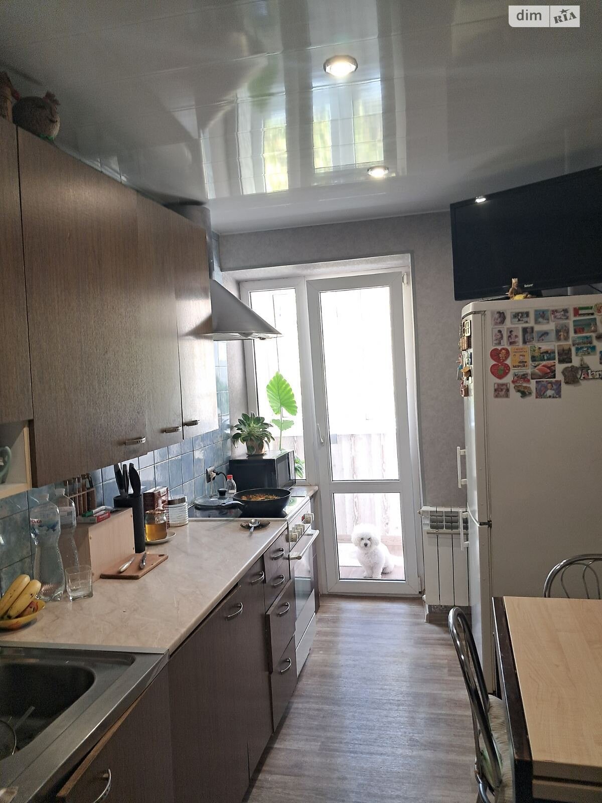 Продажа трехкомнатной квартиры в Днепре, на ул. Савкина 4, район Красный Камень фото 1 Продажа трехкомнатной квартиры в Днепре, на ул. Савкина 4, район Красный Камень фото 1