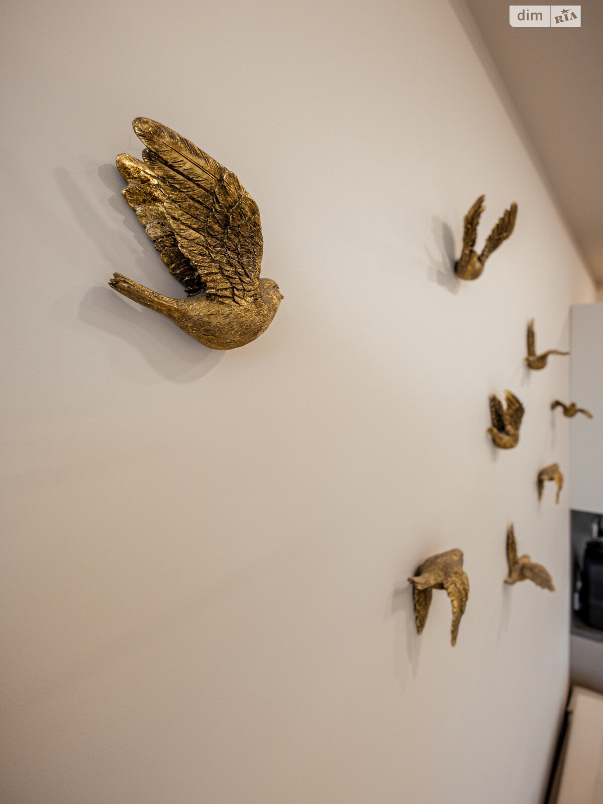 Продажа однокомнатной квартиры в Днепре, на ул. Староказацкая 50Б корпус 1, район Парк Л.Глобы фото 1 Продажа однокомнатной квартиры в Днепре, на ул. Староказацкая 50Б корпус 1, район Парк Л.Глобы фото 1