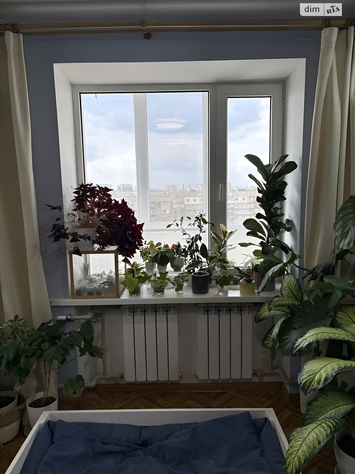 Продажа двухкомнатной квартиры в Днепре, на ул. Паникахи 121, район Тополь-3 фото 1 Продажа двухкомнатной квартиры в Днепре, на ул. Паникахи 121, район Тополь-3 фото 1