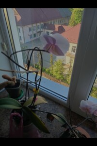 Продажа двухкомнатной квартиры в Долине, на ул. В. Черновола 6, фото 2