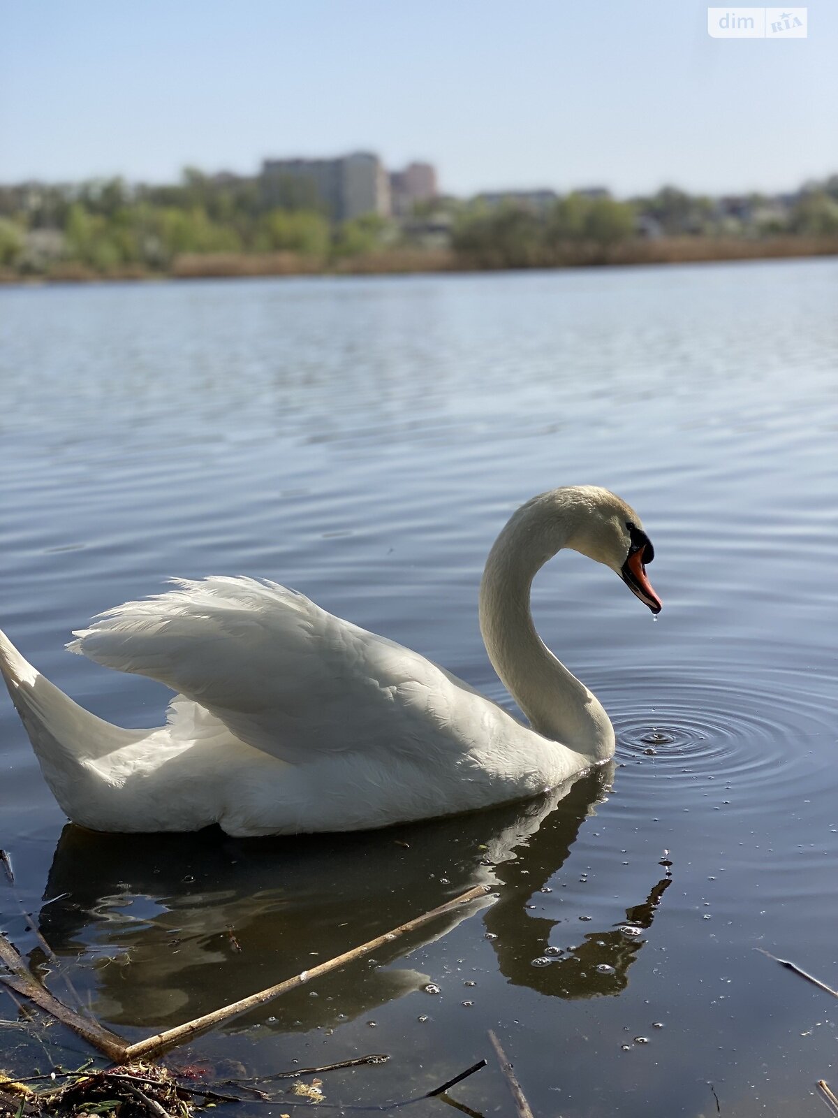 Продаж двокімнатної квартири в Гостомелі, на вул. Богдана Хмельницького 3Є, кв. 67, фото 1 Продаж двокімнатної квартири в Гостомелі, на вул. Богдана Хмельницького 3Є, кв. 67, фото 1