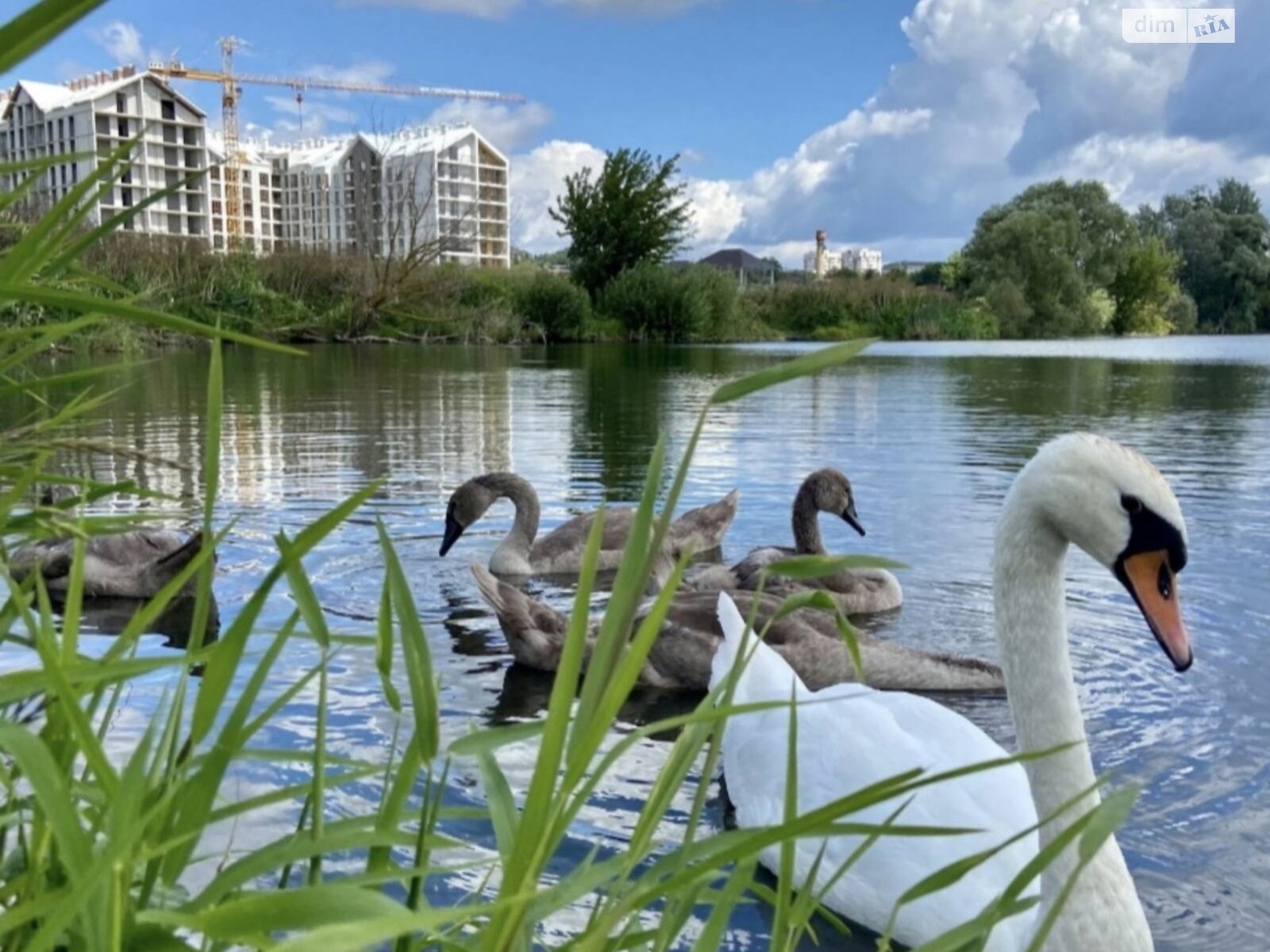 Продаж однокімнатної квартири в Гостомелі, на вул. Богдана Хмельницького 3Є, фото 1 Продаж однокімнатної квартири в Гостомелі, на вул. Богдана Хмельницького 3Є, фото 1