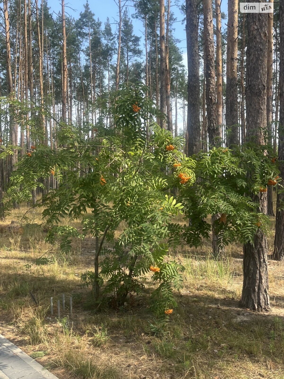 Продаж двокімнатної квартири в Гостомелі, на вул. Мисливська, фото 1