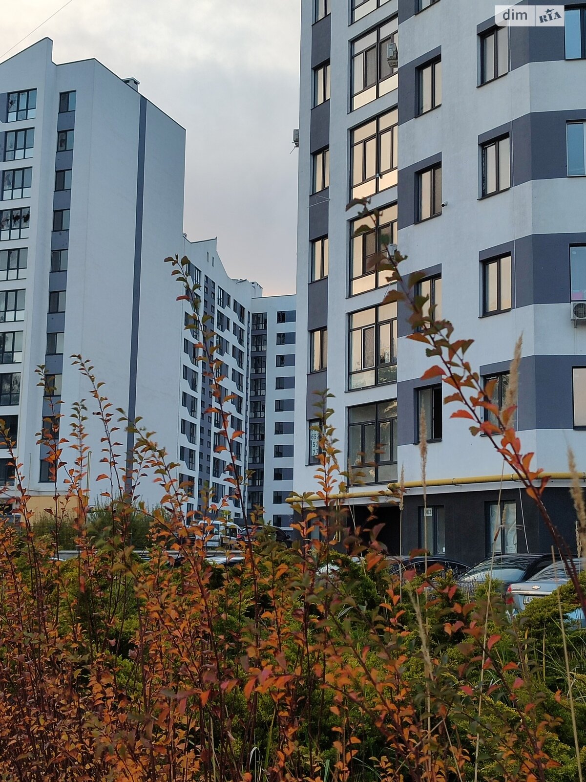 Продажа однокомнатной квартиры в Гостомеле, на ул. Охотничья 24, фото 1