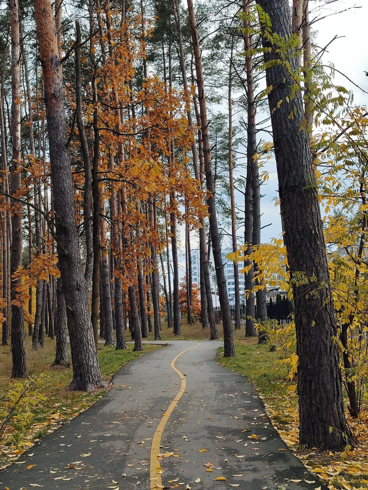 Продажа однокомнатной квартиры в Гостомеле, на ул. Охотничья 24, фото 1