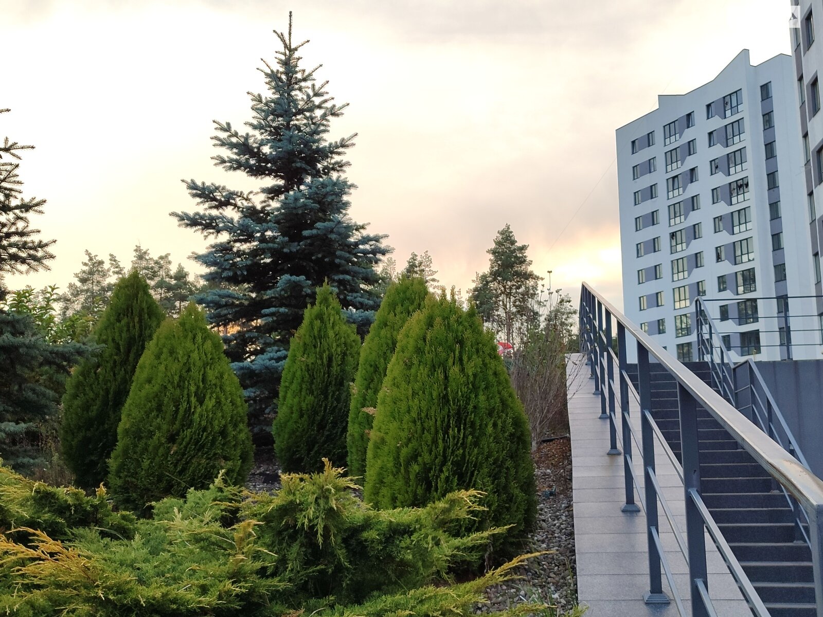 Продажа однокомнатной квартиры в Гостомеле, на ул. Охотничья 24, фото 1