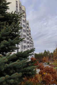 Продажа однокомнатной квартиры в Гостомеле, на ул. Охотничья 24, фото 2