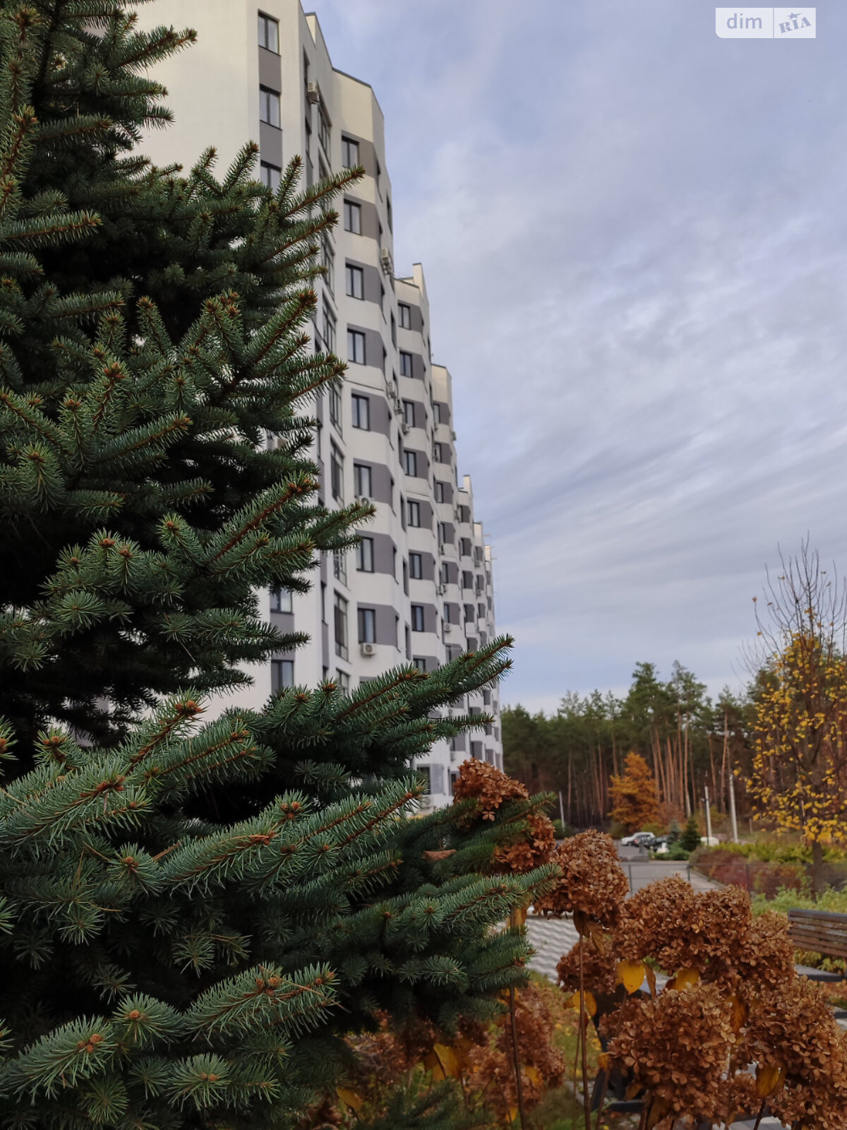 Продажа однокомнатной квартиры в Гостомеле, на ул. Охотничья 24, фото 1