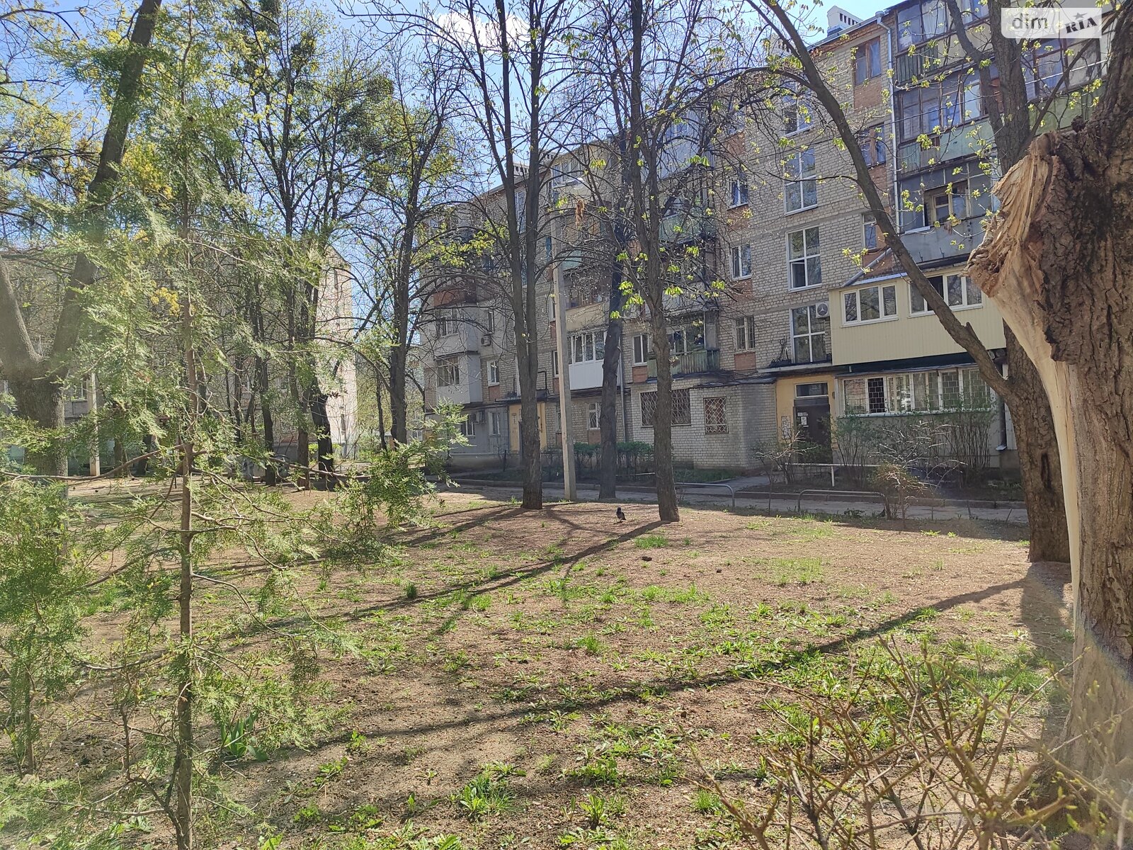 Продажа однокомнатной квартиры в Харькове, на пер. 23-го Августа 7, район 6-ой микрорайон фото 1 Продажа однокомнатной квартиры в Харькове, на пер. 23-го Августа 7, район 6-ой микрорайон фото 1