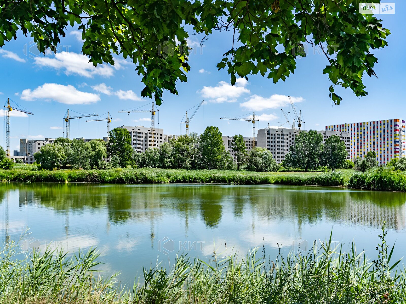 Продажа однокомнатной квартиры в Харькове, на ул. Козакевича 31, район Салтовка фото 1 Продажа однокомнатной квартиры в Харькове, на ул. Козакевича 31, район Салтовка фото 1