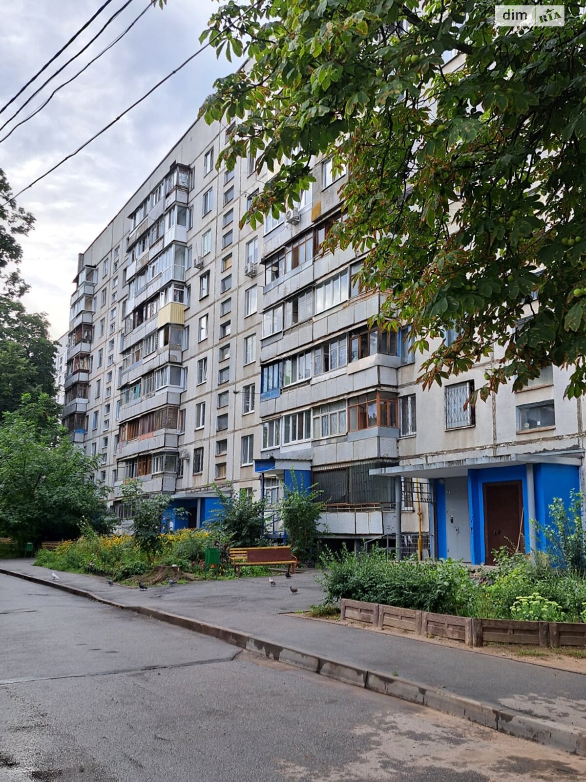 Продаж однокімнатної квартири в Харкові, на вул. Гвардійців-Широнінців 26, район Салтівський фото 1 Продаж однокімнатної квартири в Харкові, на вул. Гвардійців-Широнінців 26, район Салтівський фото 1