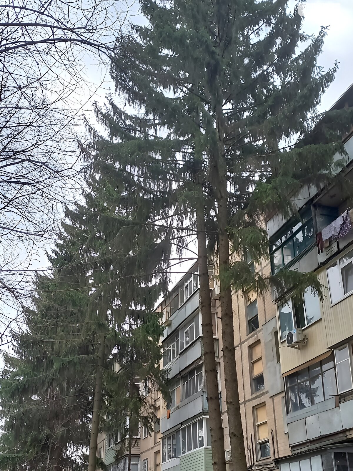 Продаж однокімнатної квартири в Харкові, на вул. Зубенка Владислава 52, район Салтівський фото 1 Продаж однокімнатної квартири в Харкові, на вул. Зубенка Владислава 52, район Салтівський фото 1