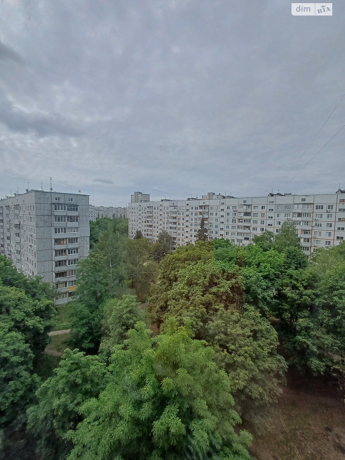 Продажа однокомнатной квартиры в Харькове, на просп. Победы 66, район Шевченковский фото 1 Продажа однокомнатной квартиры в Харькове, на просп. Победы 66, район Шевченковский фото 1