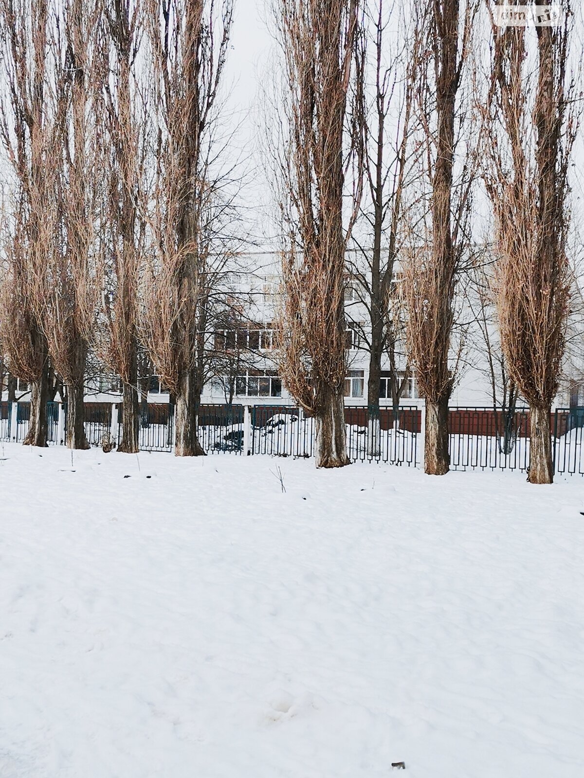 Продаж трикімнатної квартири в Харкові, на вул. Дмитра Коцюбайла 2Б, район Слобідський фото 1