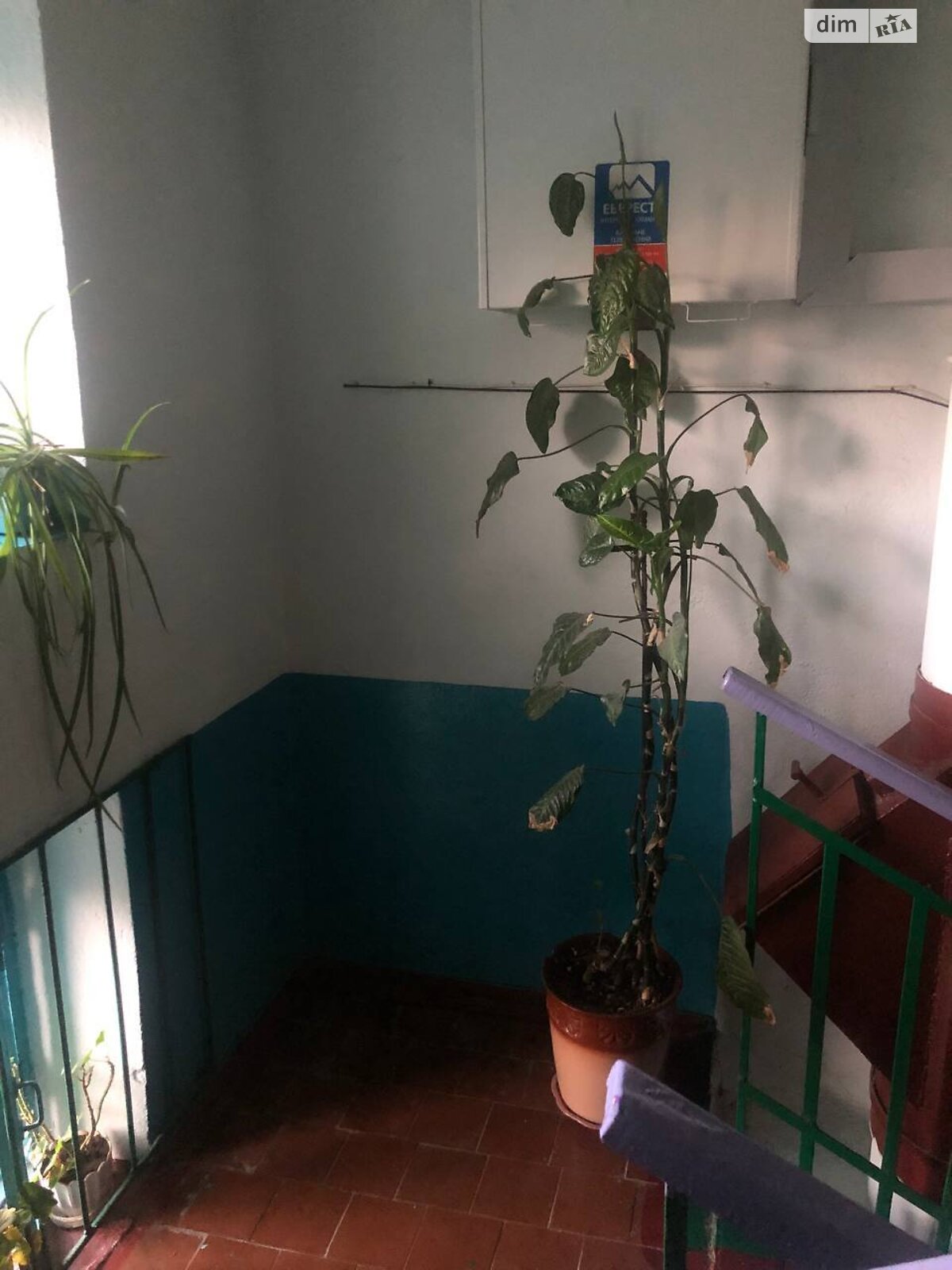 Продаж однокімнатної квартири в Хмельницькому, на вул. Вишнева, район Гречани фото 1 Продаж однокімнатної квартири в Хмельницькому, на вул. Вишнева, район Гречани фото 1