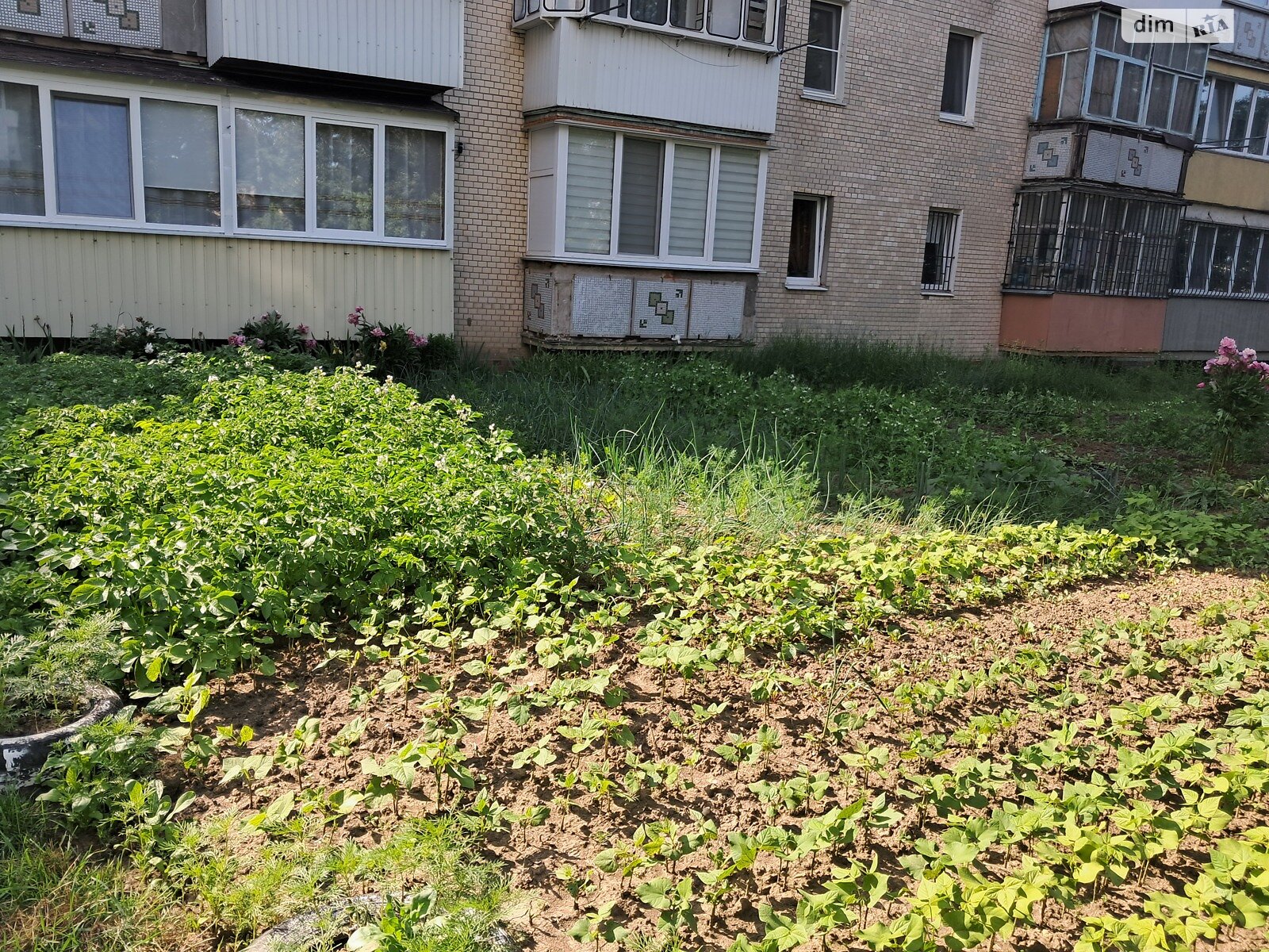 Продаж однокімнатної квартири в Хмельницькому, на просп. Миру 51/2, район Виставка фото 1 Продаж однокімнатної квартири в Хмельницькому, на просп. Миру 51/2, район Виставка фото 1