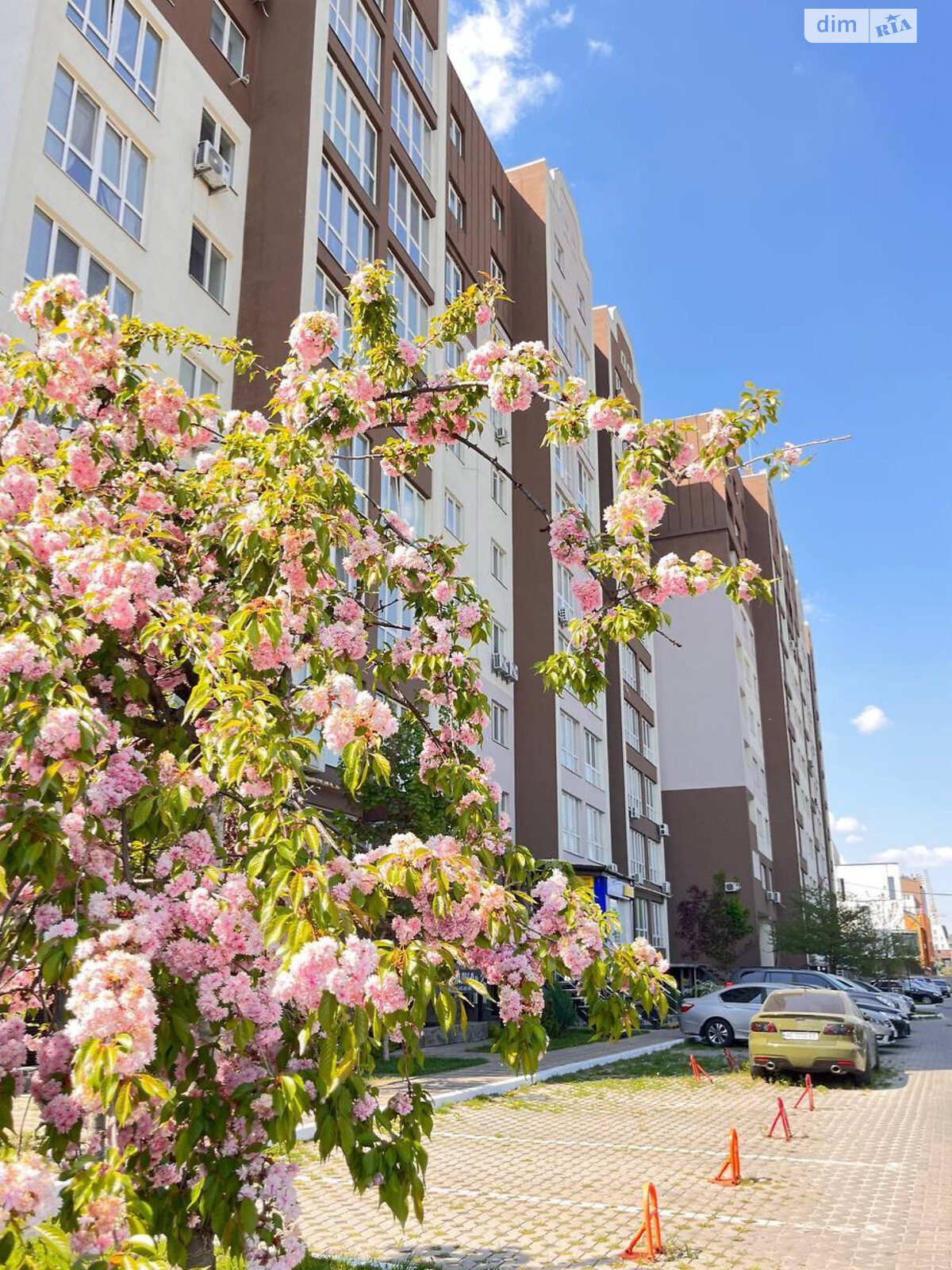 Продажа двухкомнатной квартиры в Ходосовке, на ул. Феодосия Печерского 18, фото 1 Продажа двухкомнатной квартиры в Ходосовке, на ул. Феодосия Печерского 18, фото 1