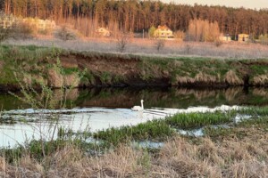 Продаж двокімнатної квартири в Ірпені, на вул. Дмитра Павличка 33, район Ірпінь фото 2