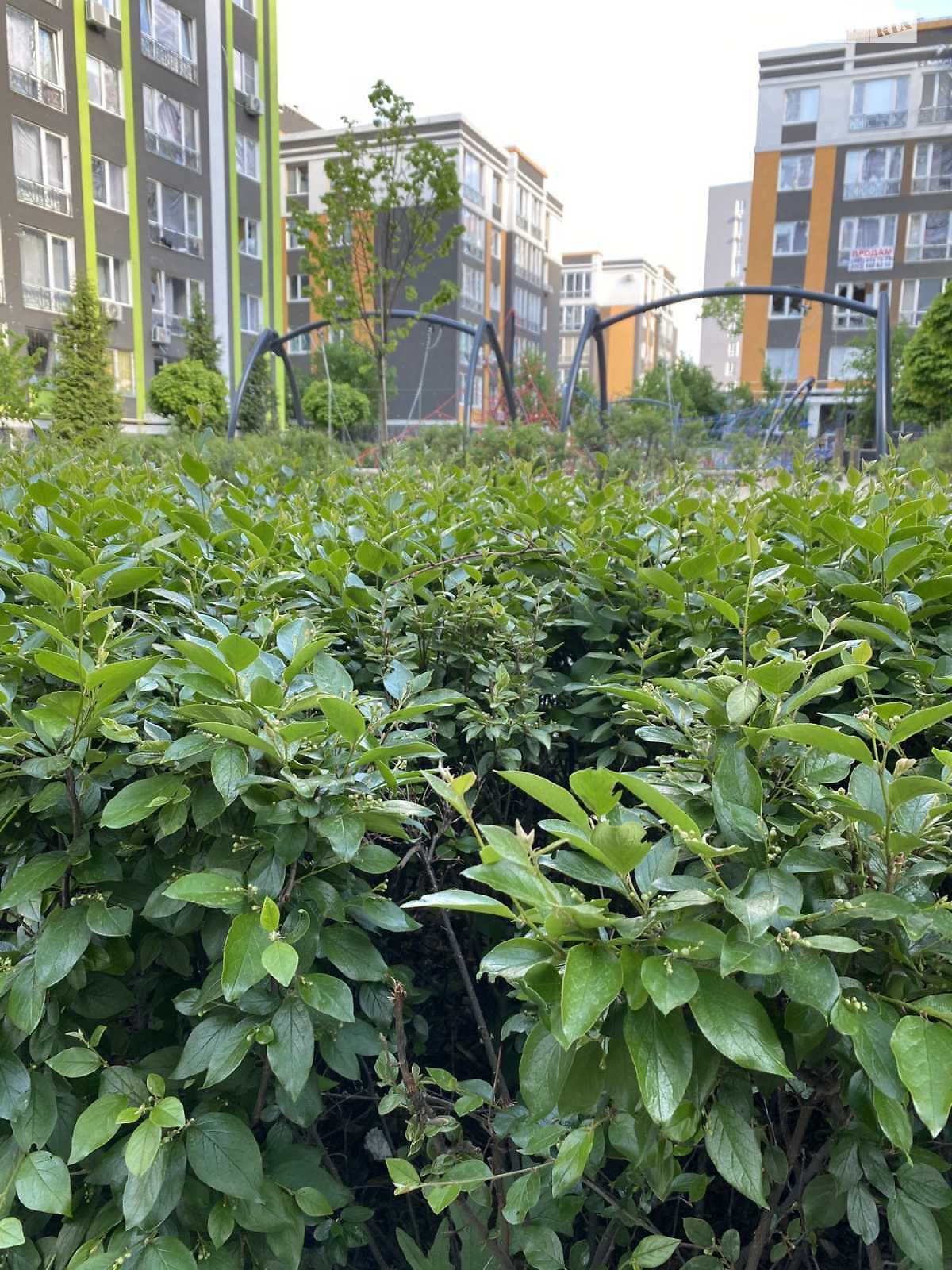 Продажа трехкомнатной квартиры в Ирпене, на ул. Григория Сковороды 25, кв. 36, район Ирпень фото 1 Продажа трехкомнатной квартиры в Ирпене, на ул. Григория Сковороды 25, кв. 36, район Ирпень фото 1
