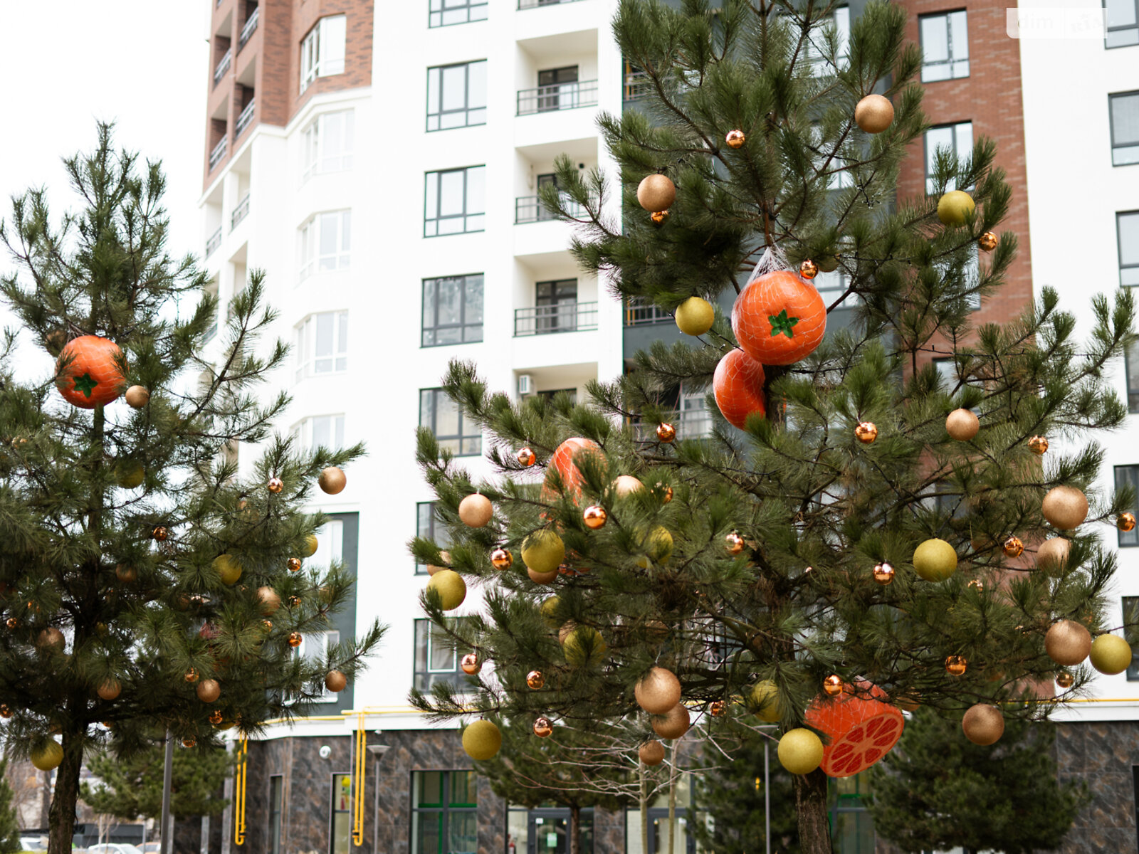 Продаж однокімнатної квартири в Ірпені, на вул. Кобилянської Ольги 1В/21, район Ірпінь фото 1