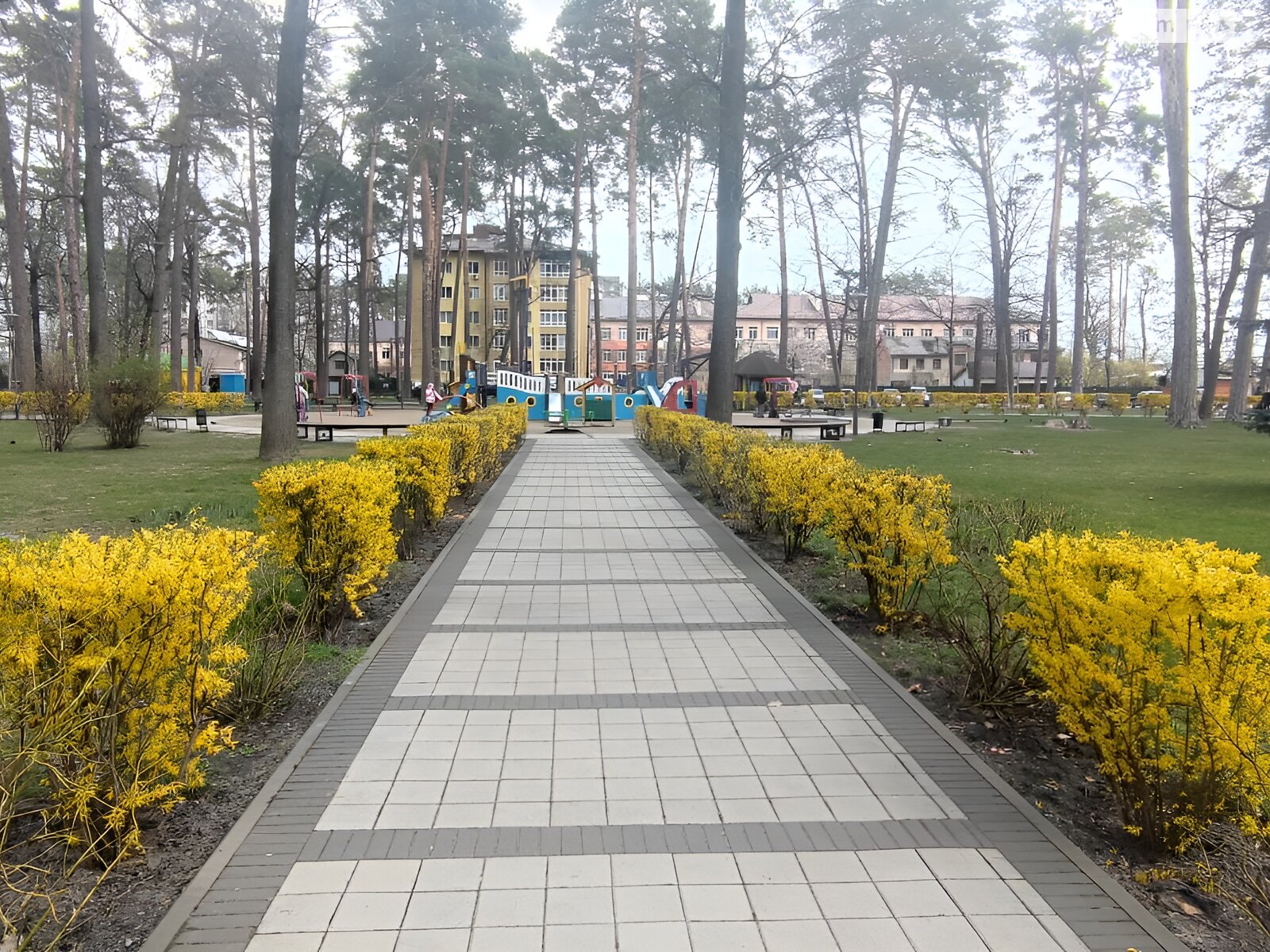 Продаж трикімнатної квартири в Ірпені, на вул. Матвія Донцова 24, кв. 49, район Ірпінь фото 1 Продаж трикімнатної квартири в Ірпені, на вул. Матвія Донцова 24, кв. 49, район Ірпінь фото 1