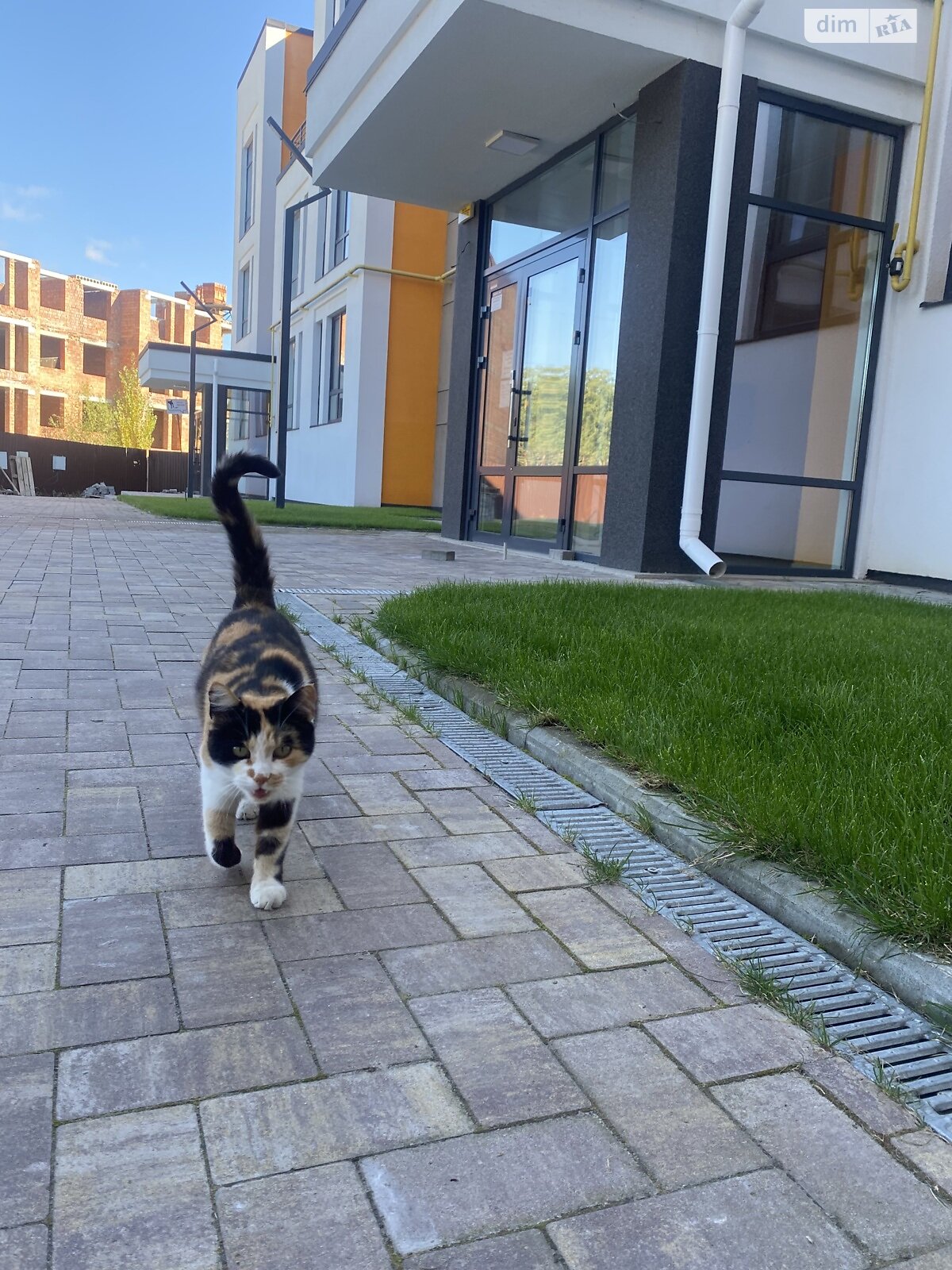 Продаж двокімнатної квартири в Ірпені, на вул. Наталії Околитенко, район Ірпінь фото 1